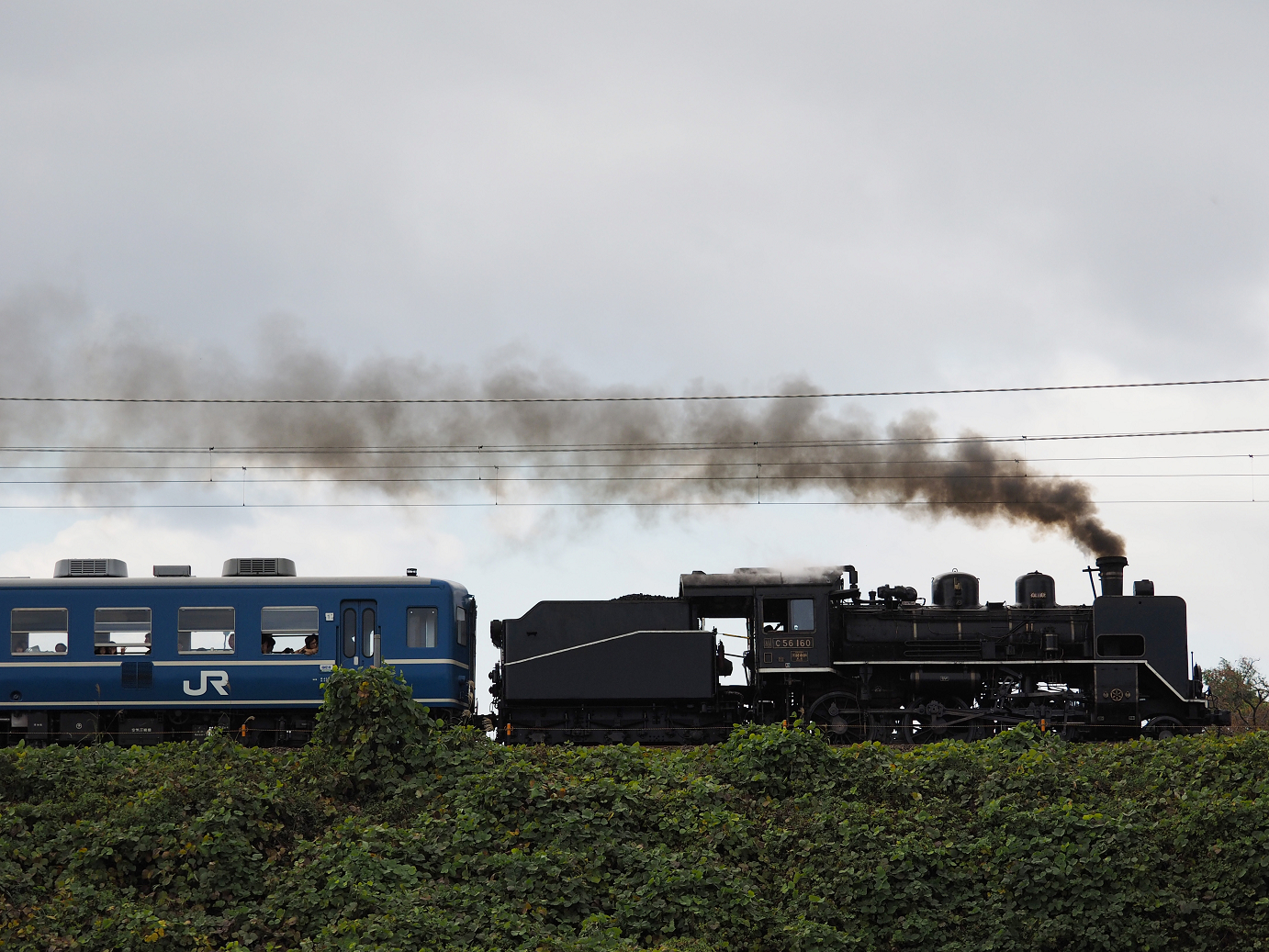 PB151501.jpg