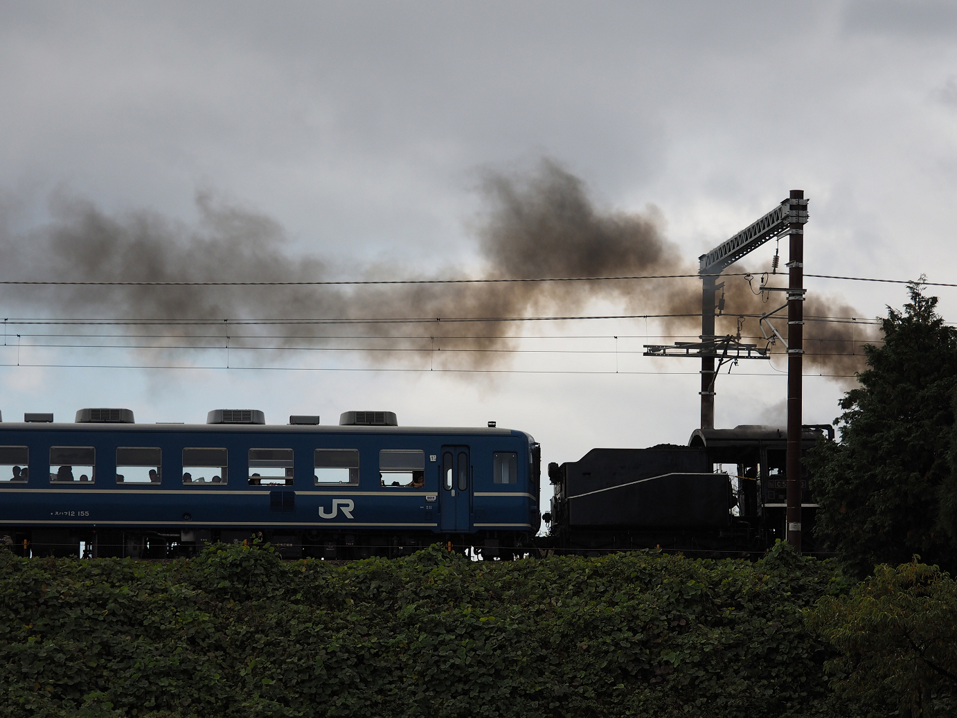 PB151503.jpg
