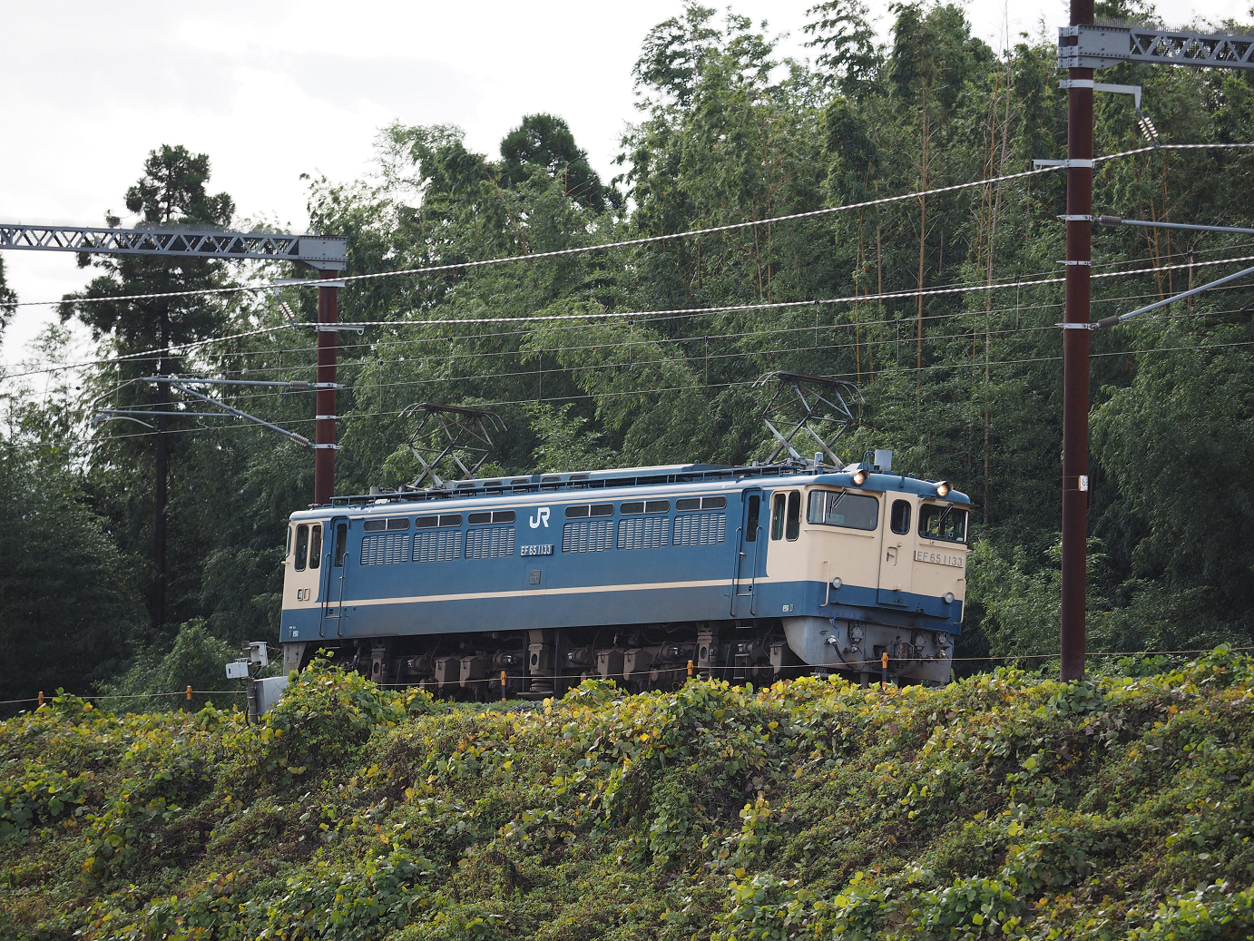 PB151516.jpg