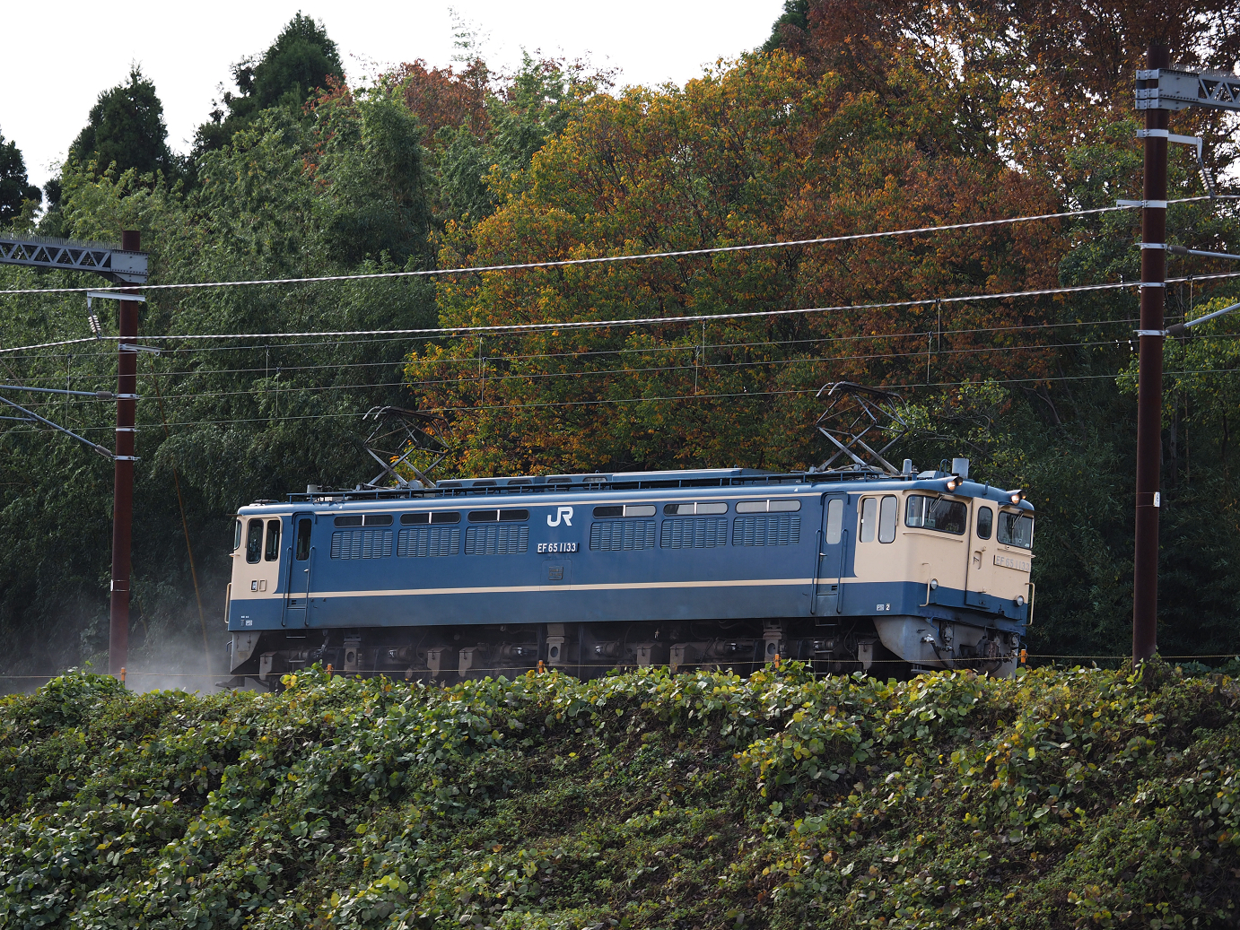 PB151521.jpg