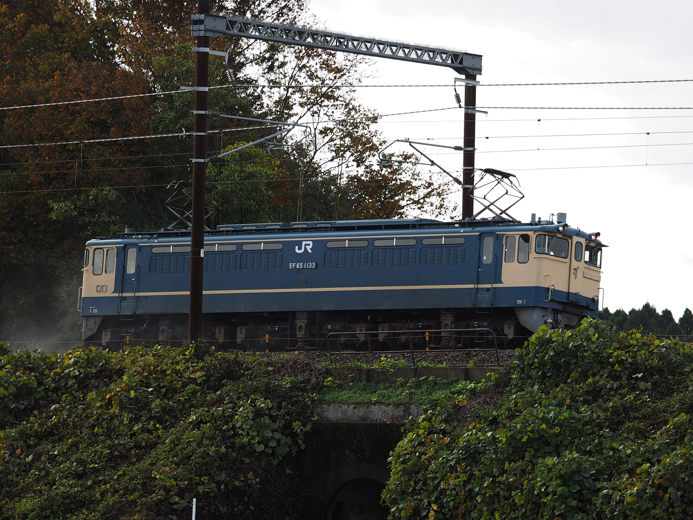 PB151522.jpg