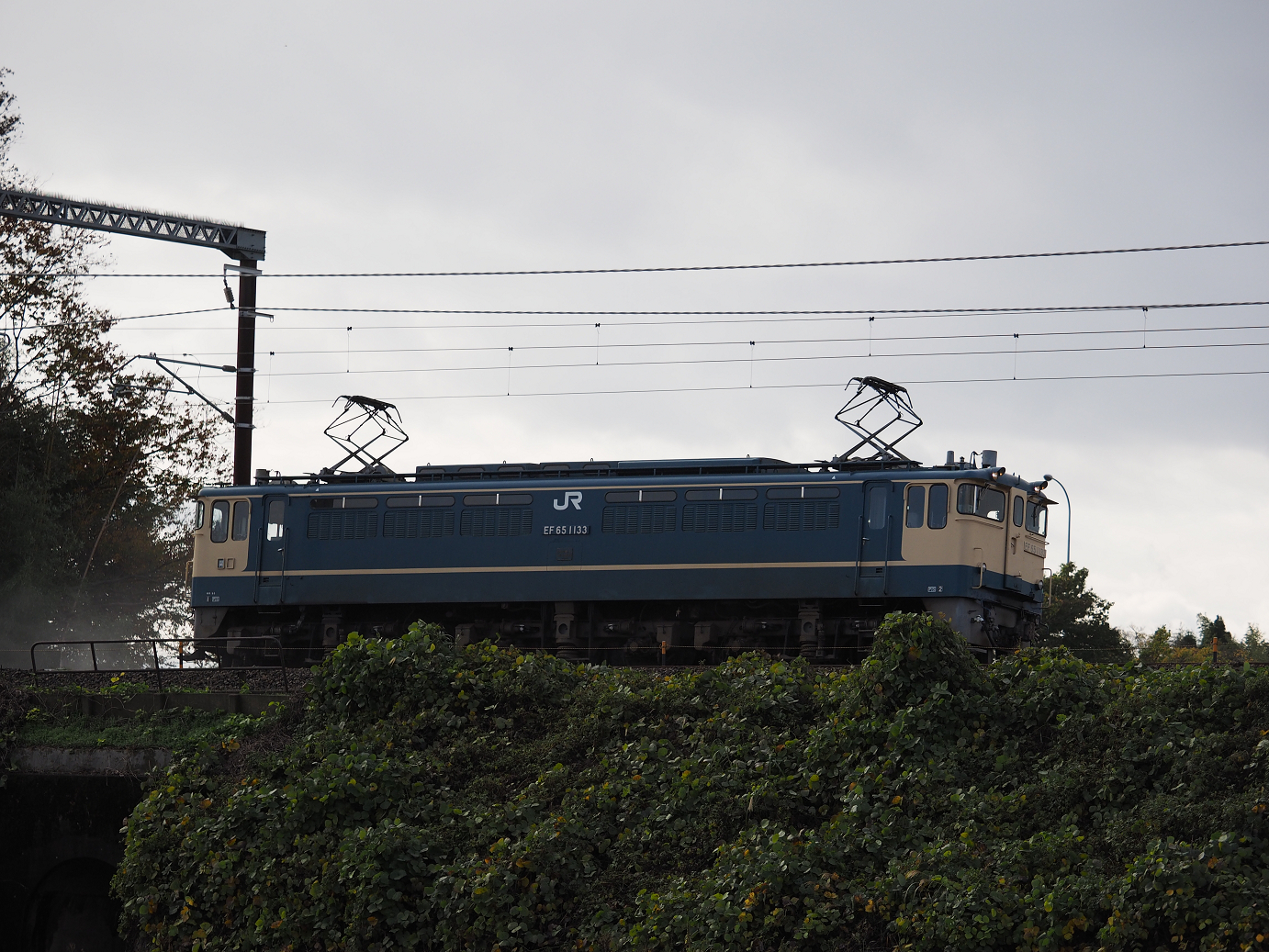 PB151524.jpg