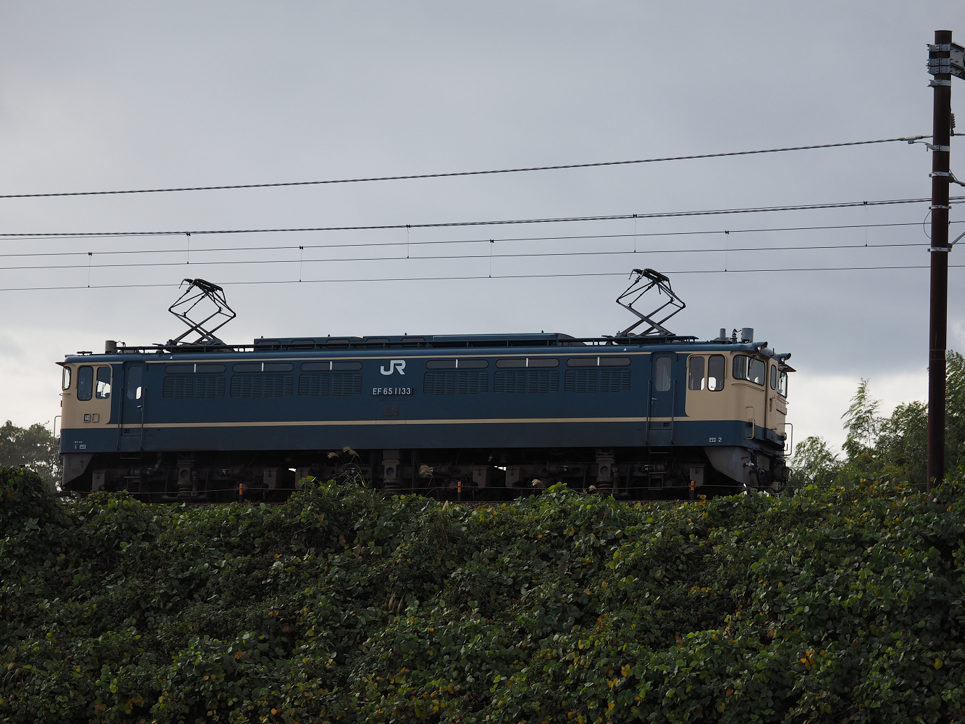 PB151526.jpg