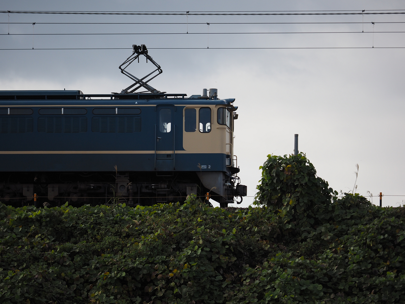 PB151530.jpg