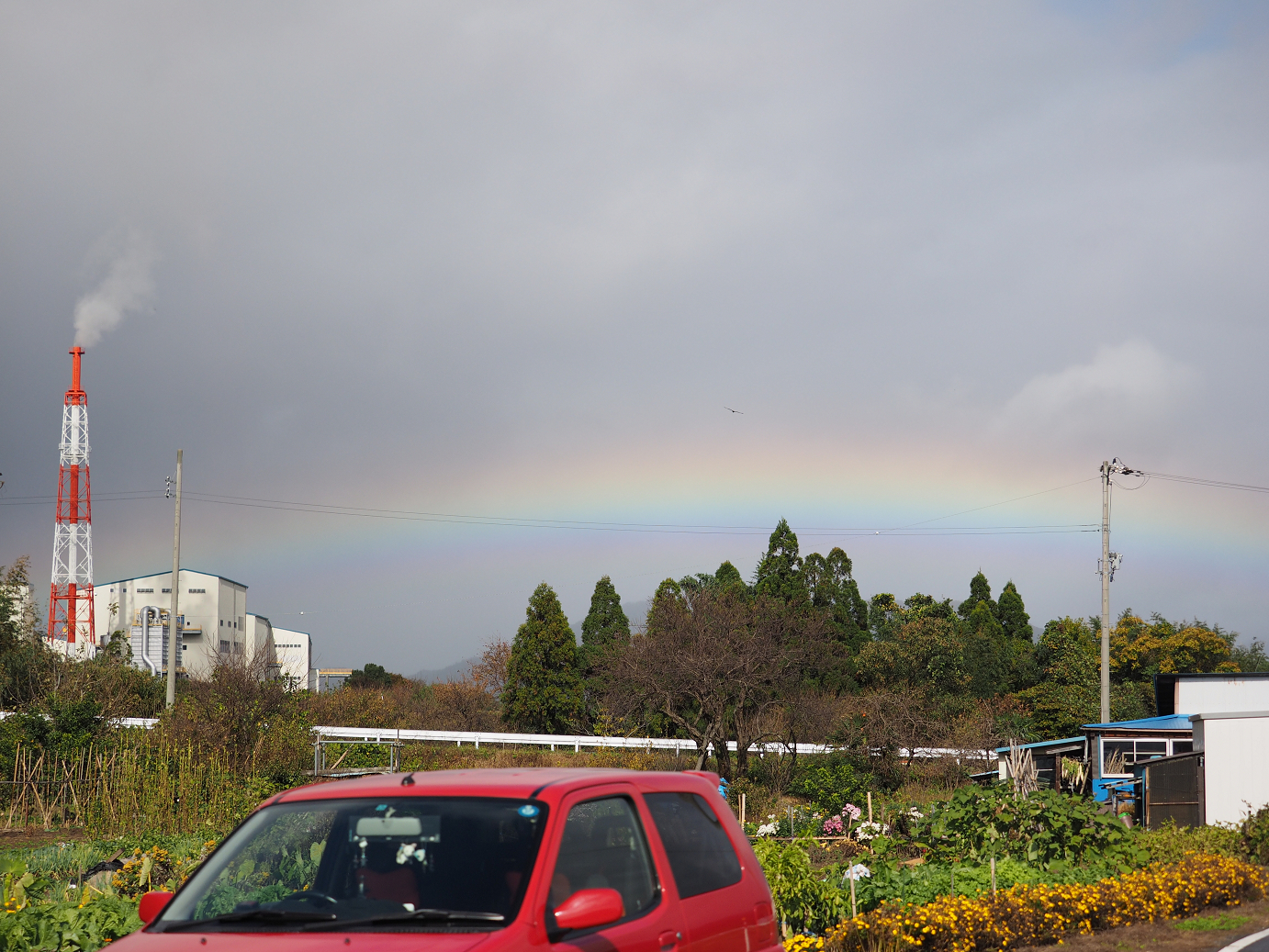 PB151537.jpg