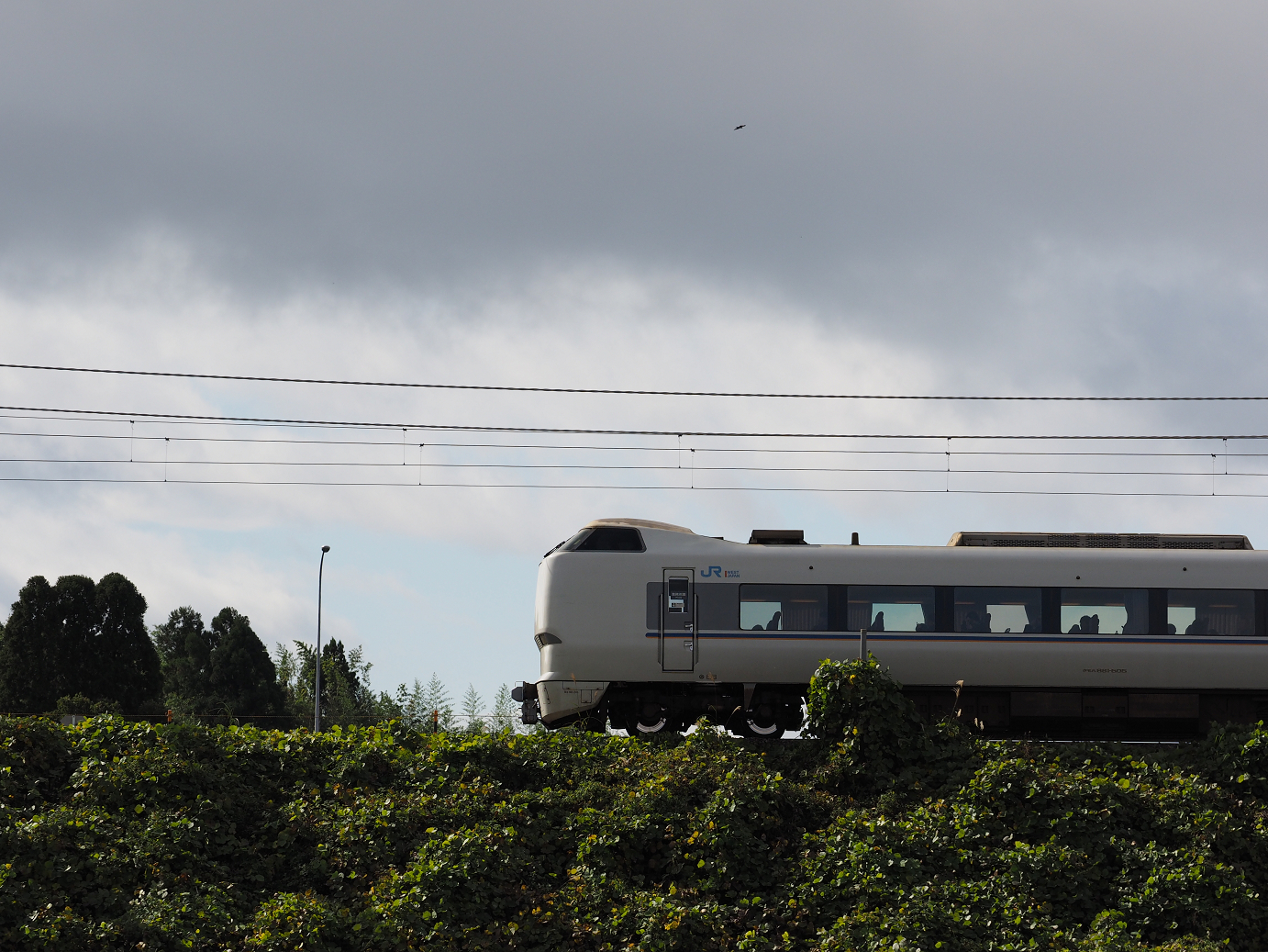 PB151567.jpg