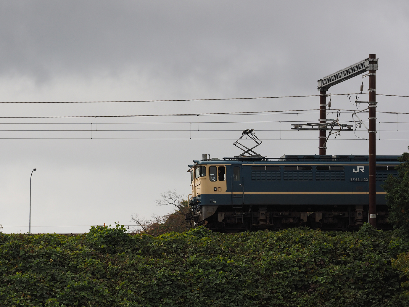 PB151582.jpg