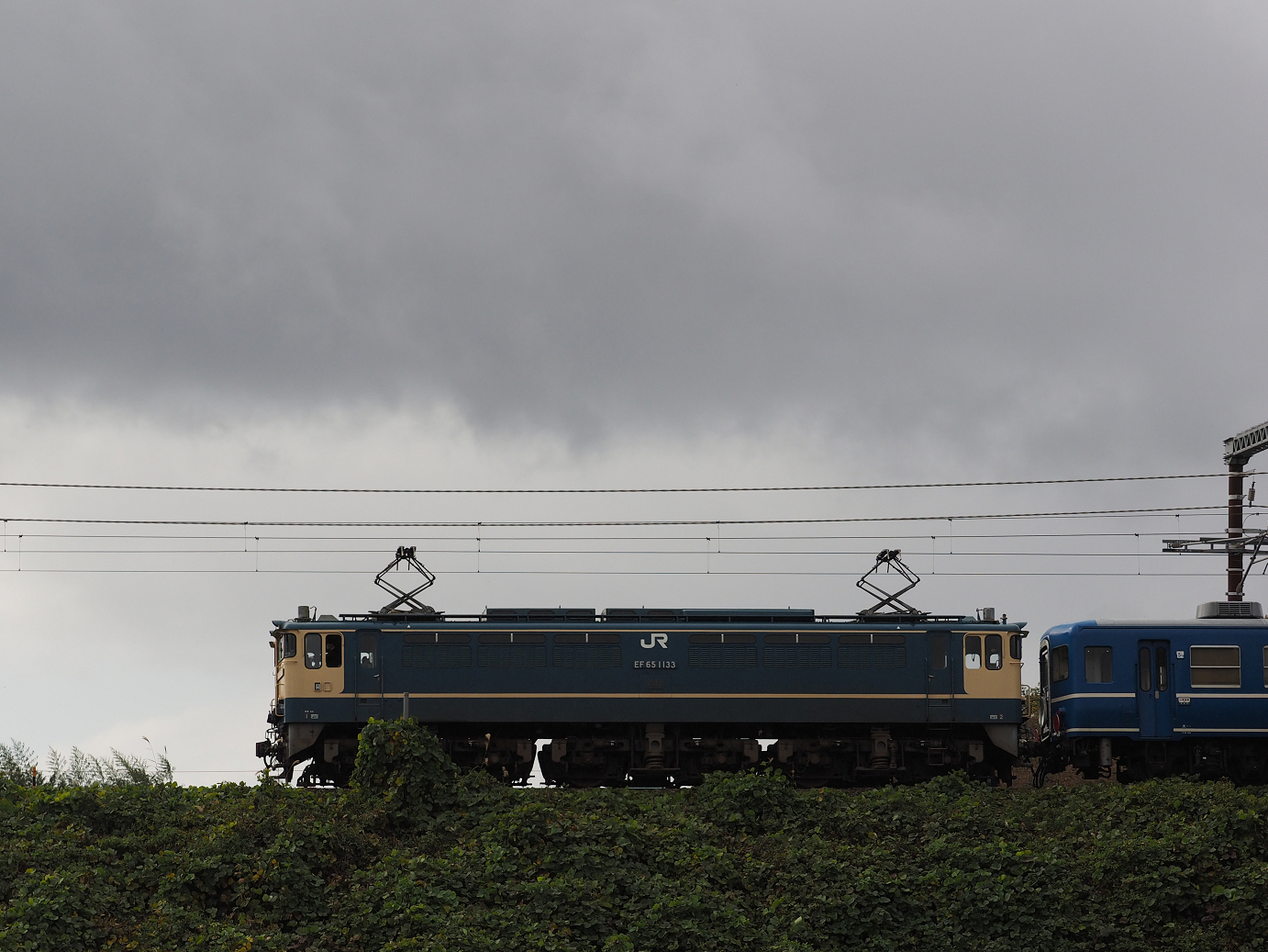 PB151584.jpg