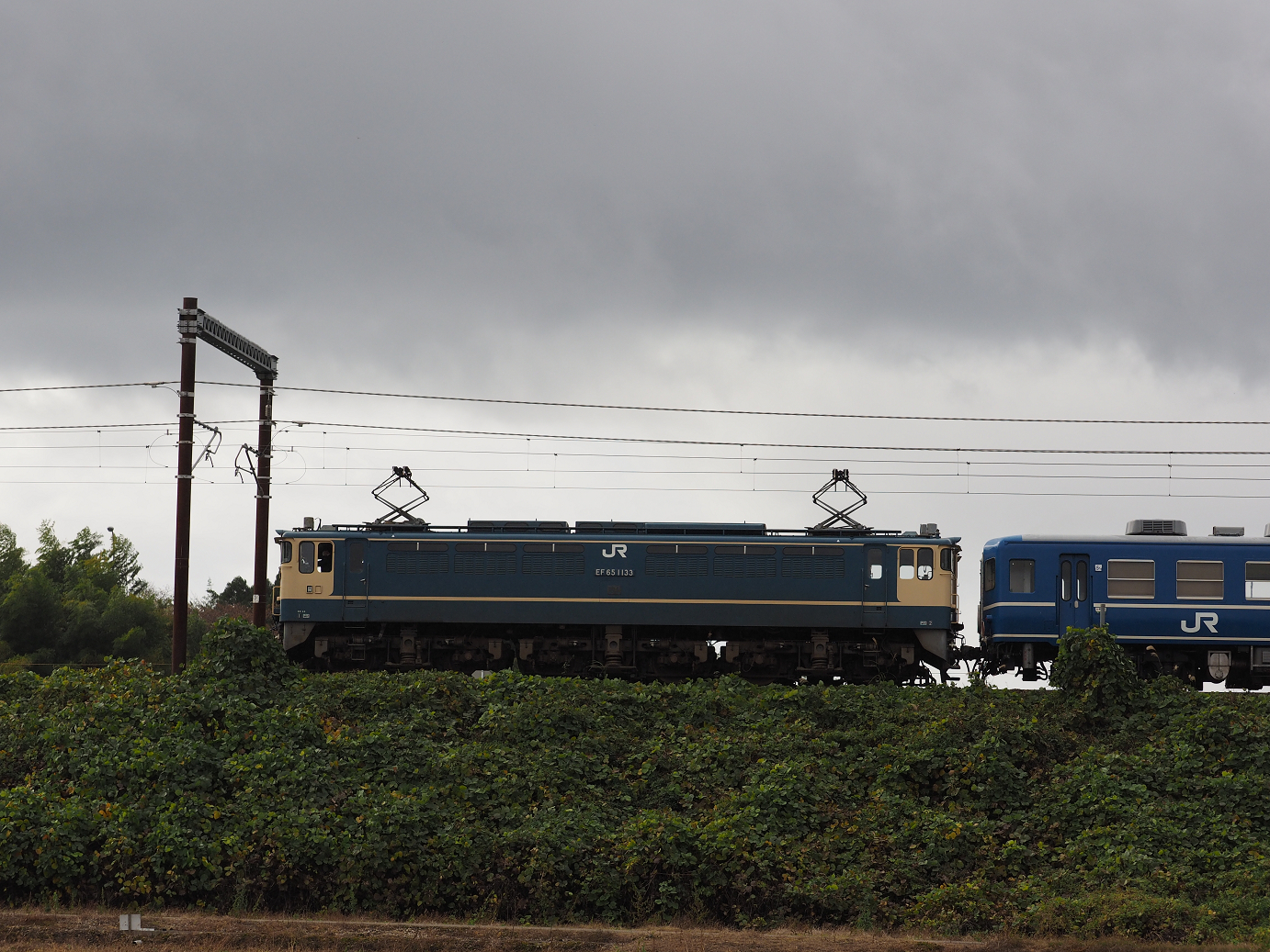 PB151586.jpg