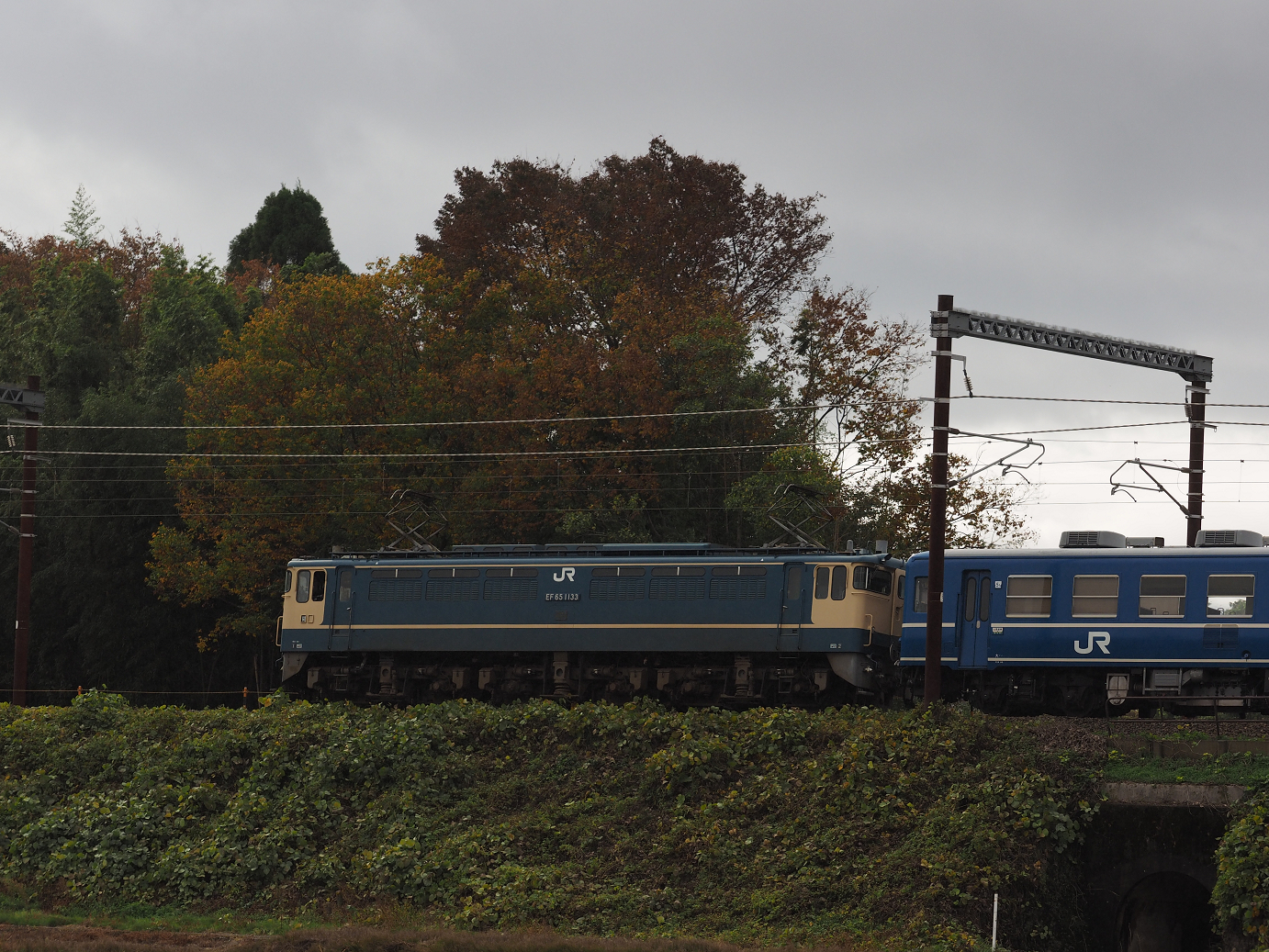 PB151593.jpg