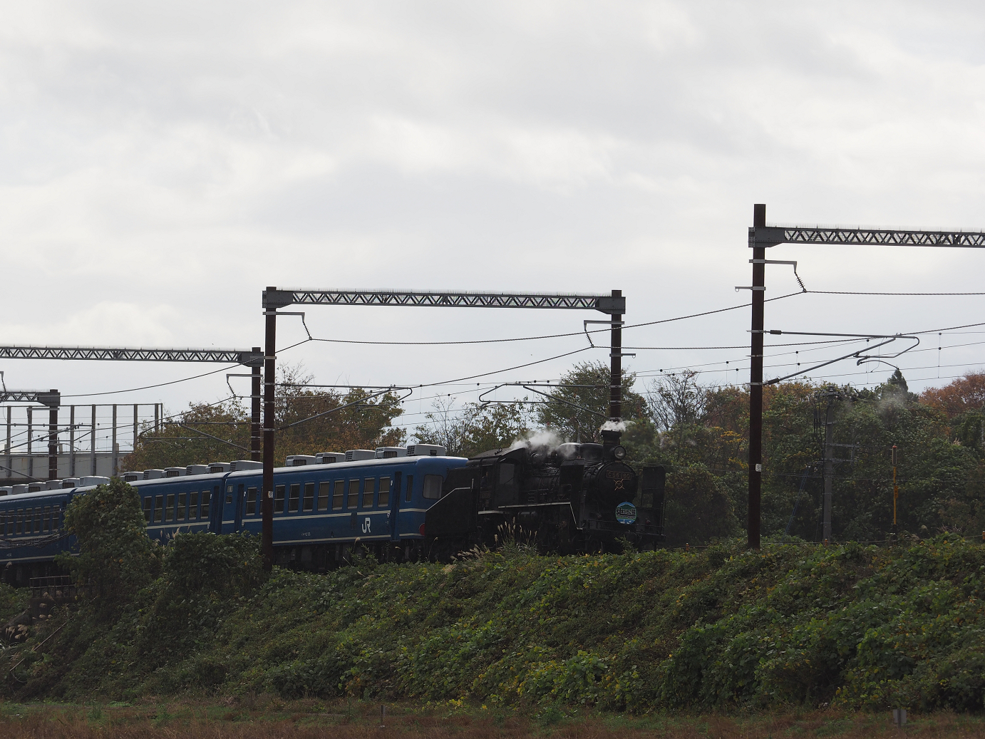 PB151604.jpg