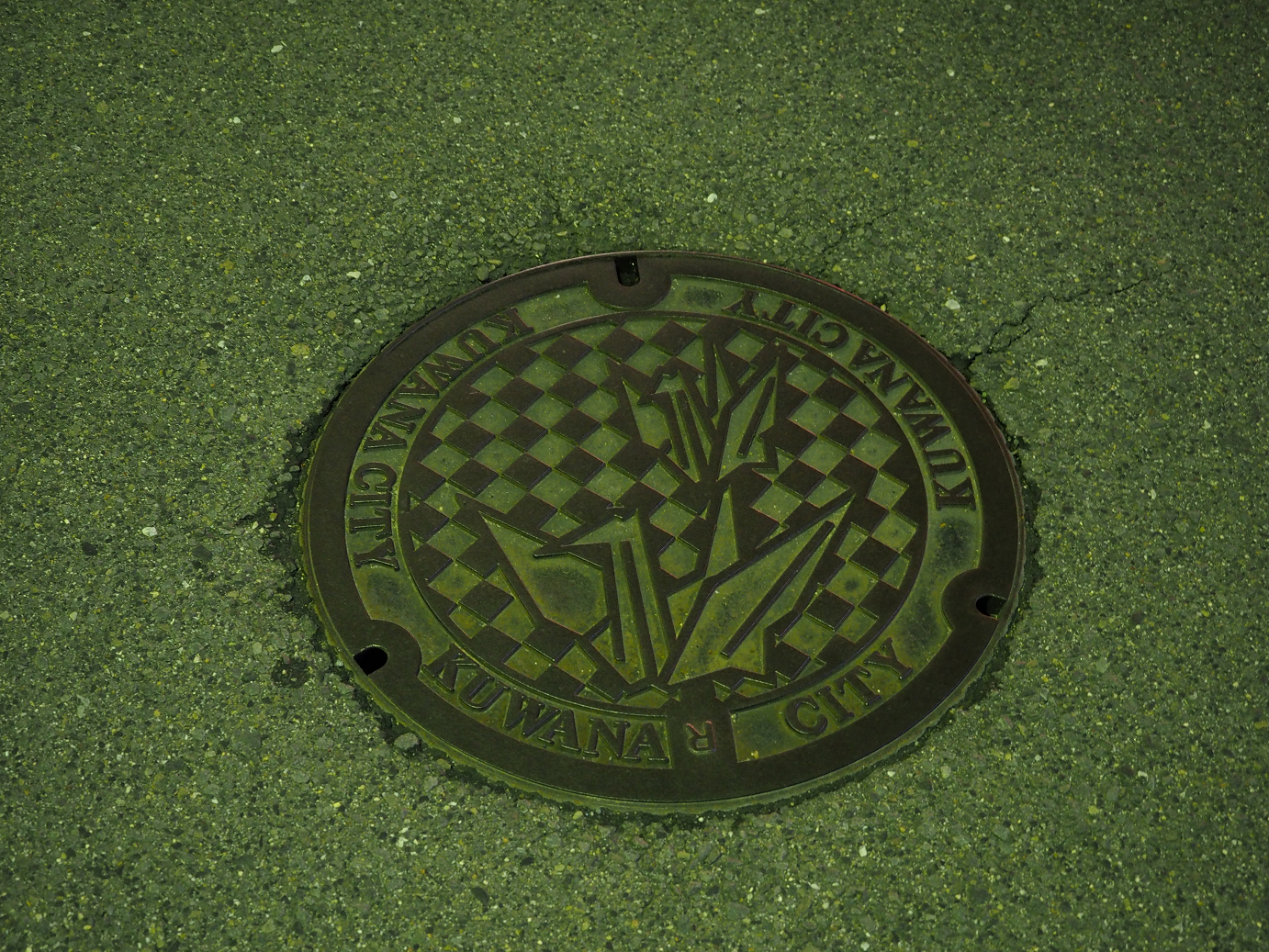 PB151892.jpg
