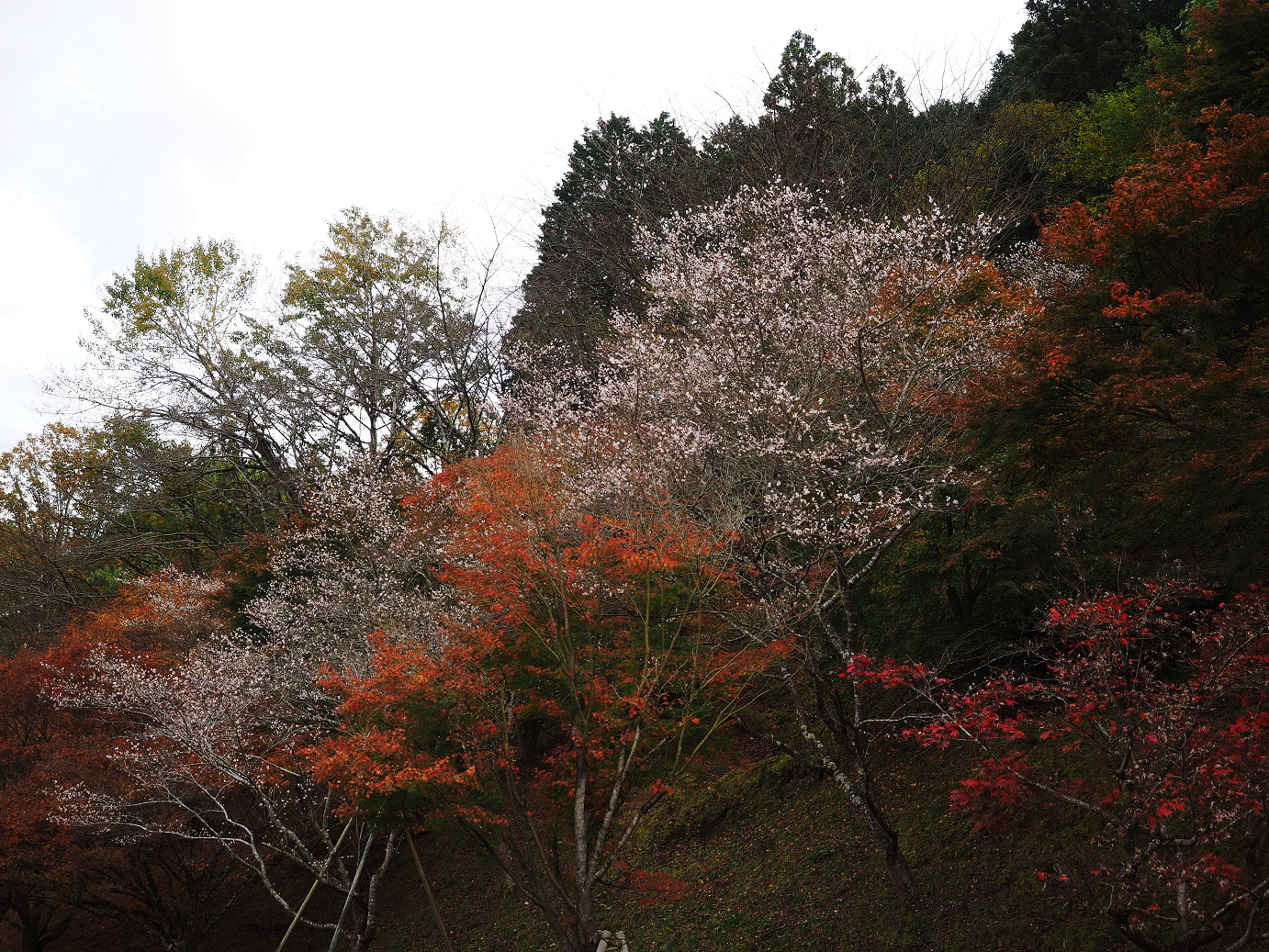 PB160016.jpg