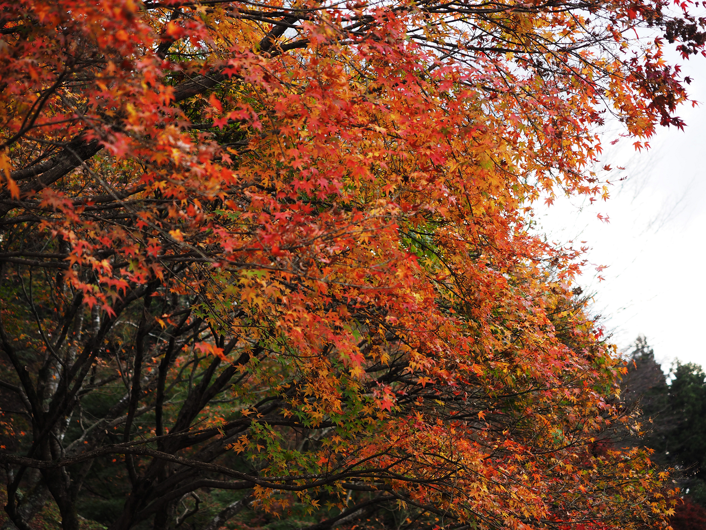 PB160019.jpg