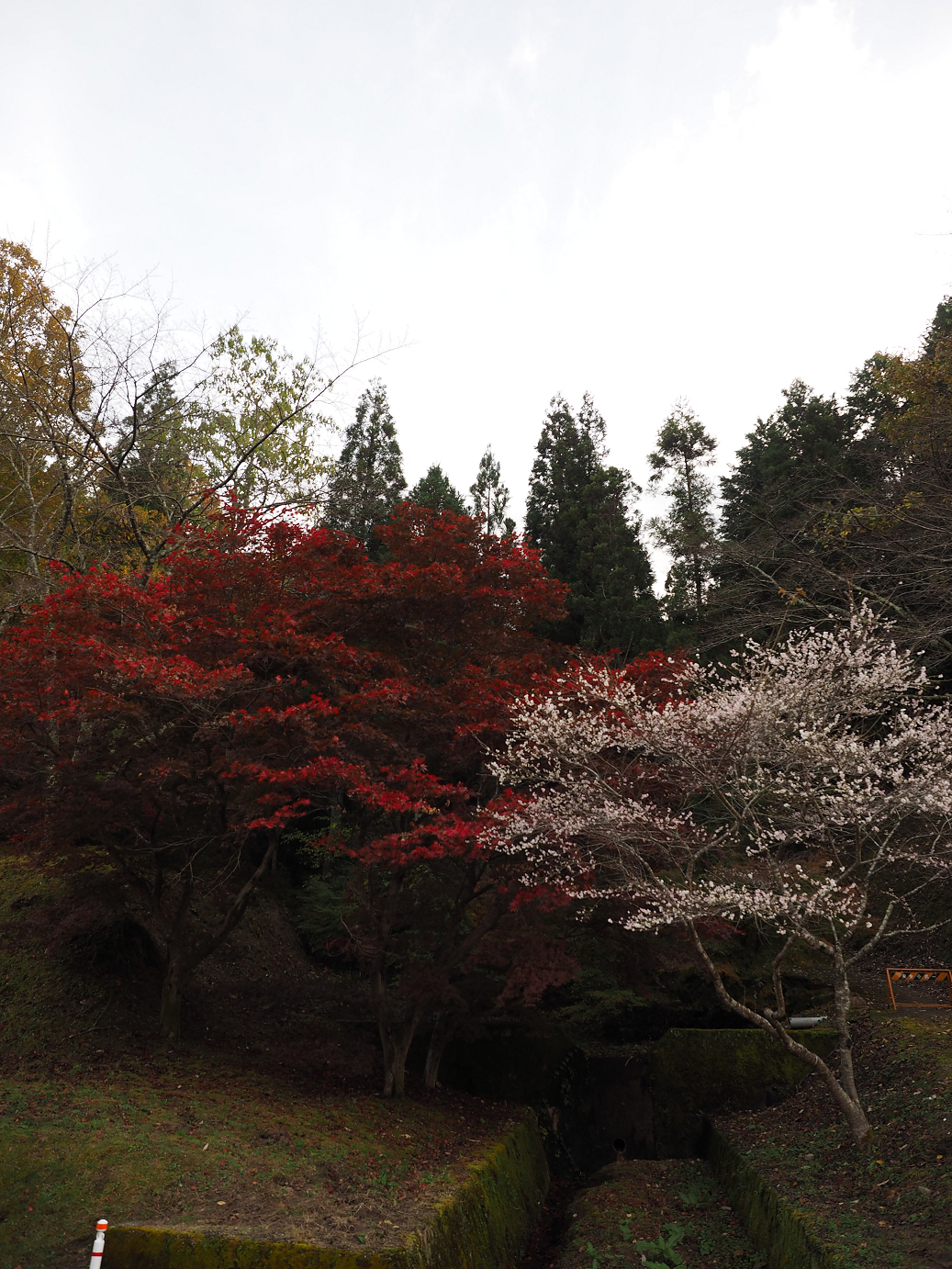 PB160050.jpg