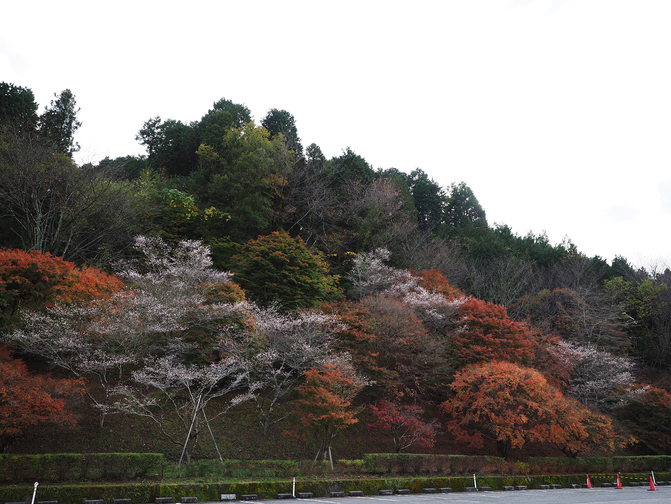 PB160059.jpg