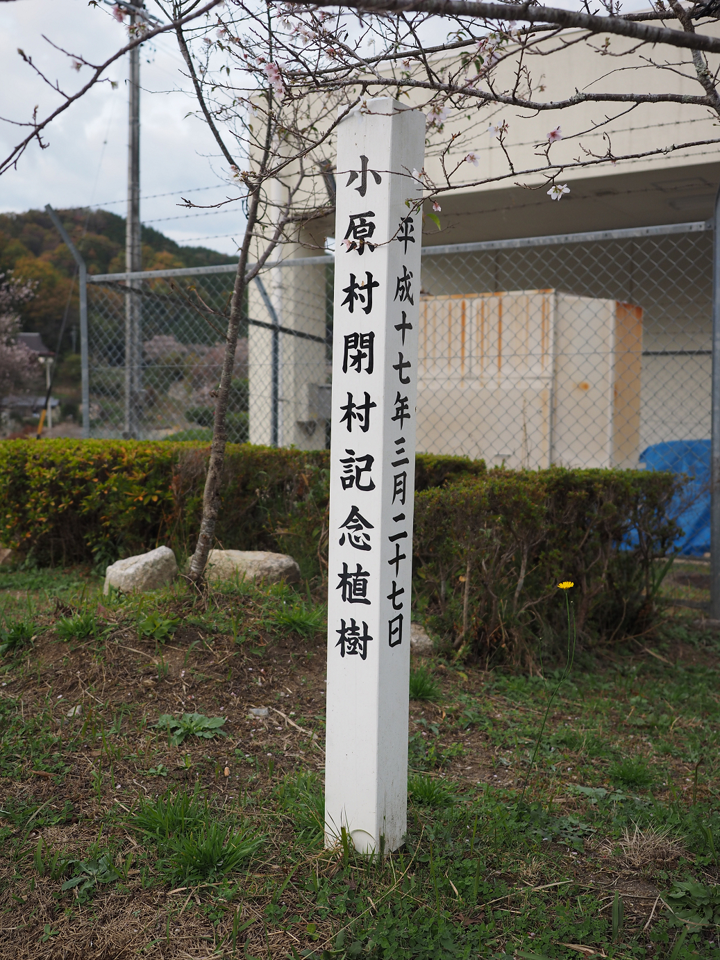 PB160069.jpg