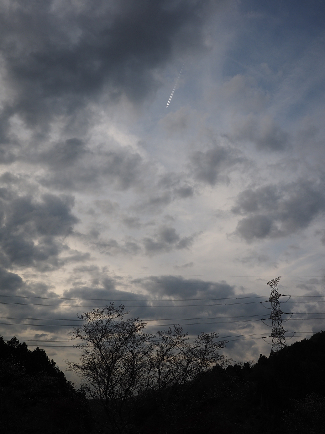 PB160071.jpg
