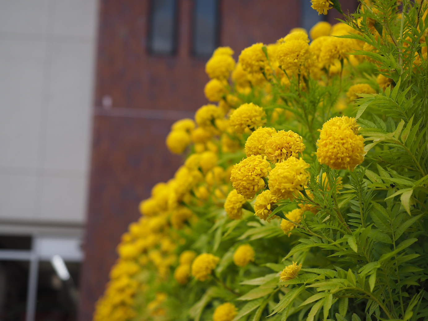 PB160100.jpg