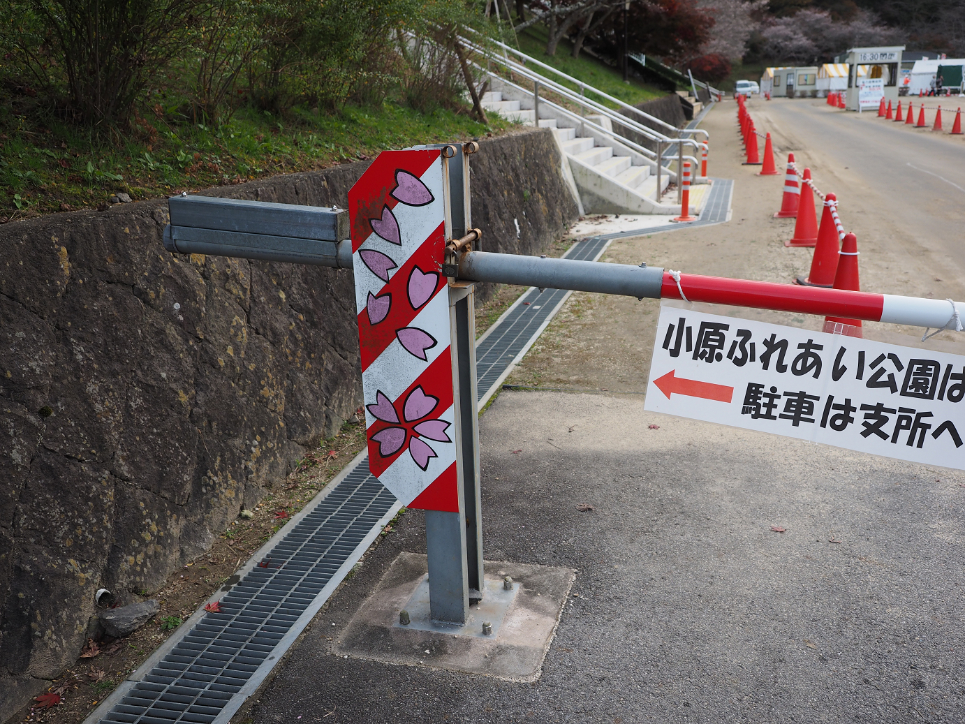 PB160109.jpg