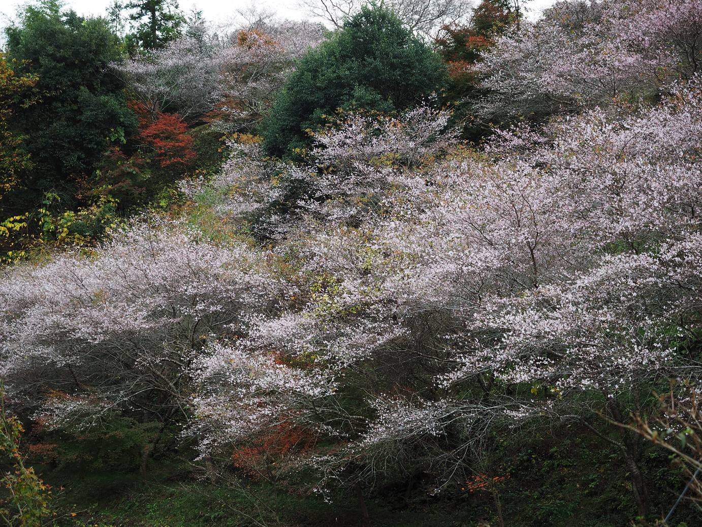 PB160110.jpg