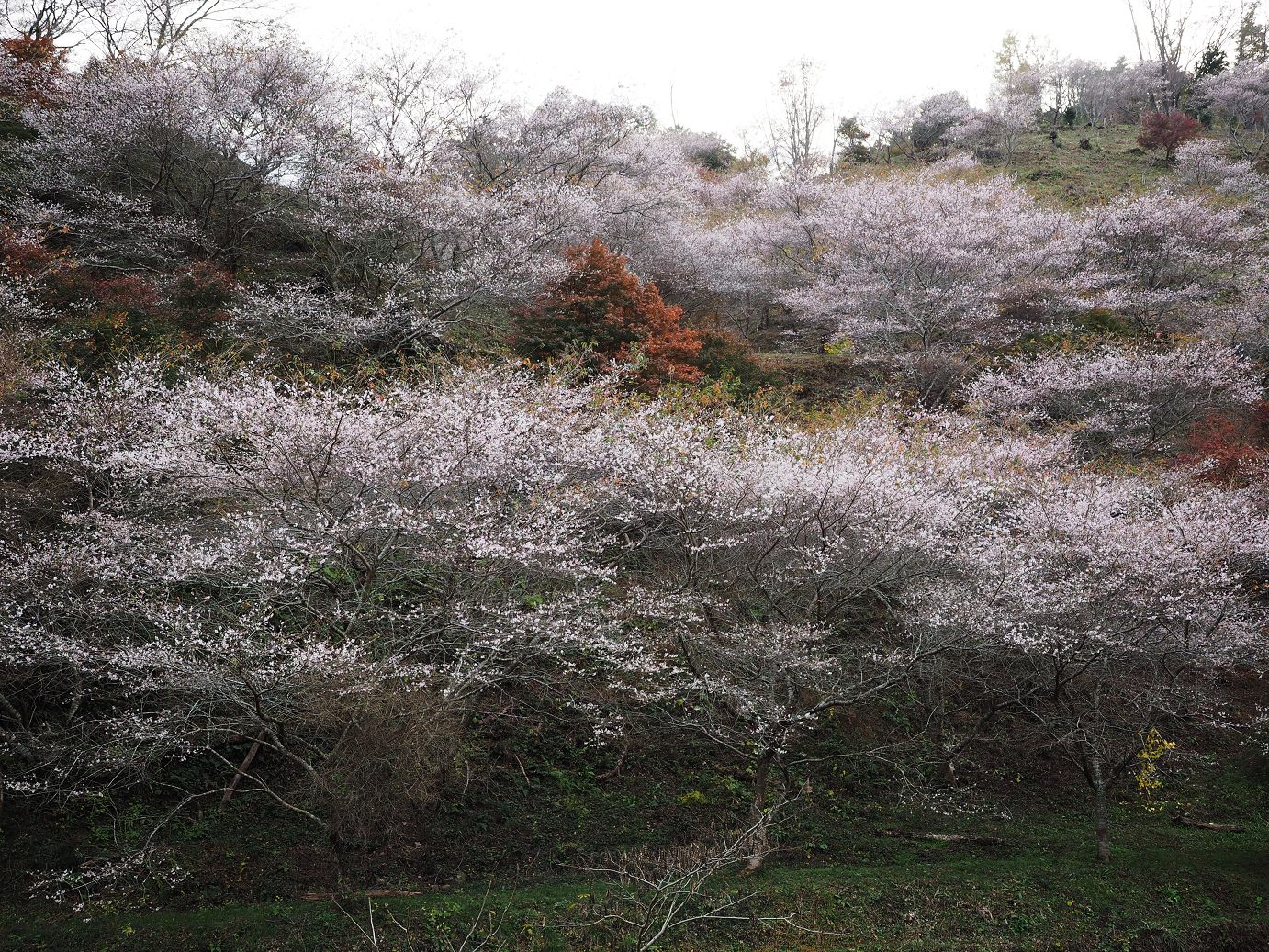 PB160115.jpg