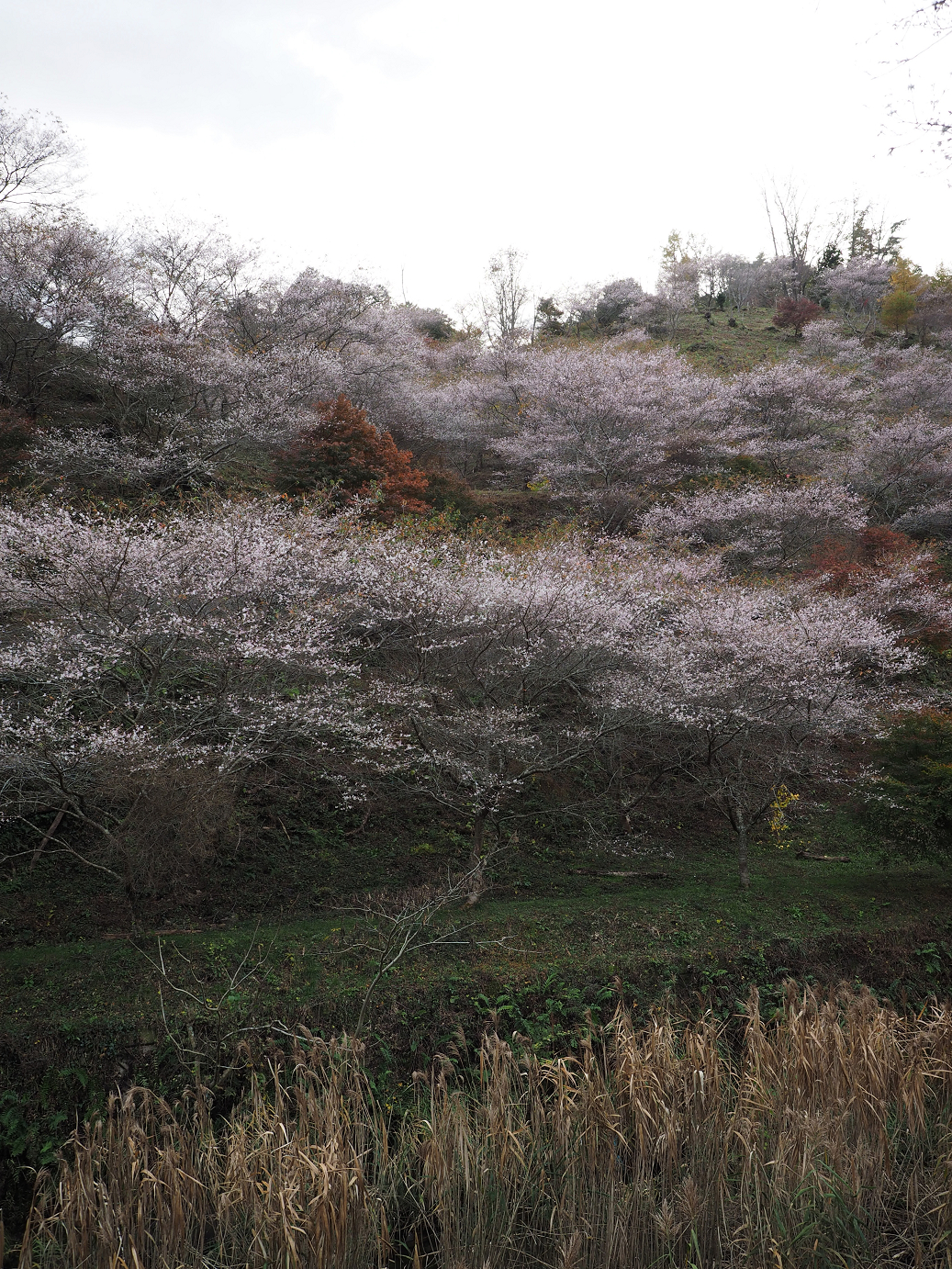 PB160117.jpg