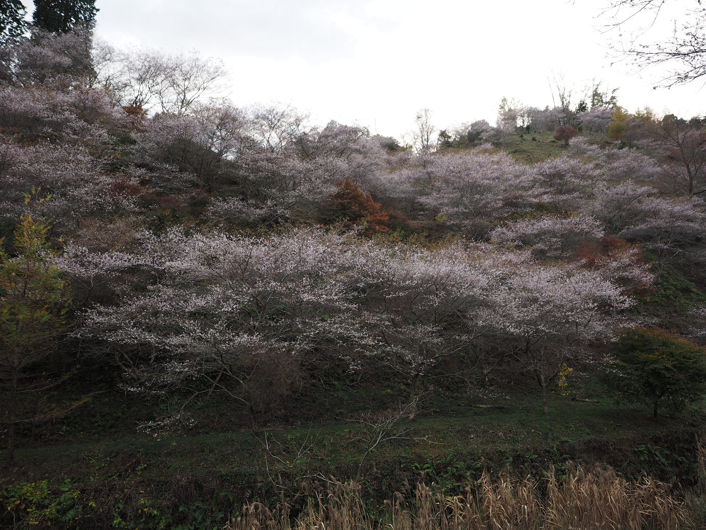 PB160118.jpg