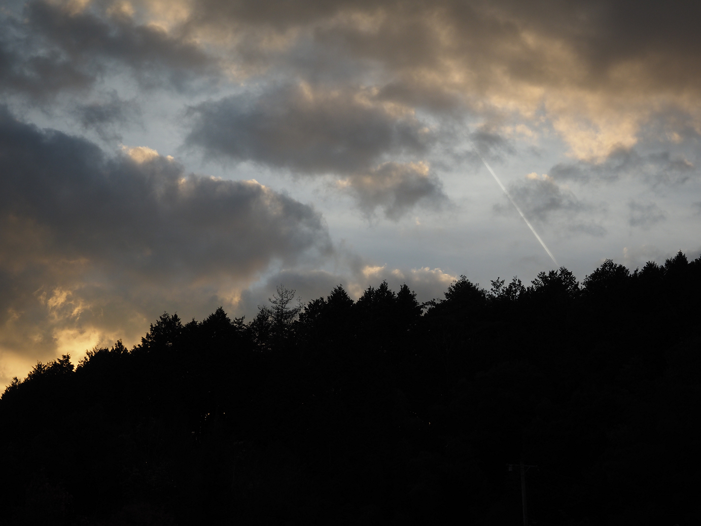PB160122.jpg