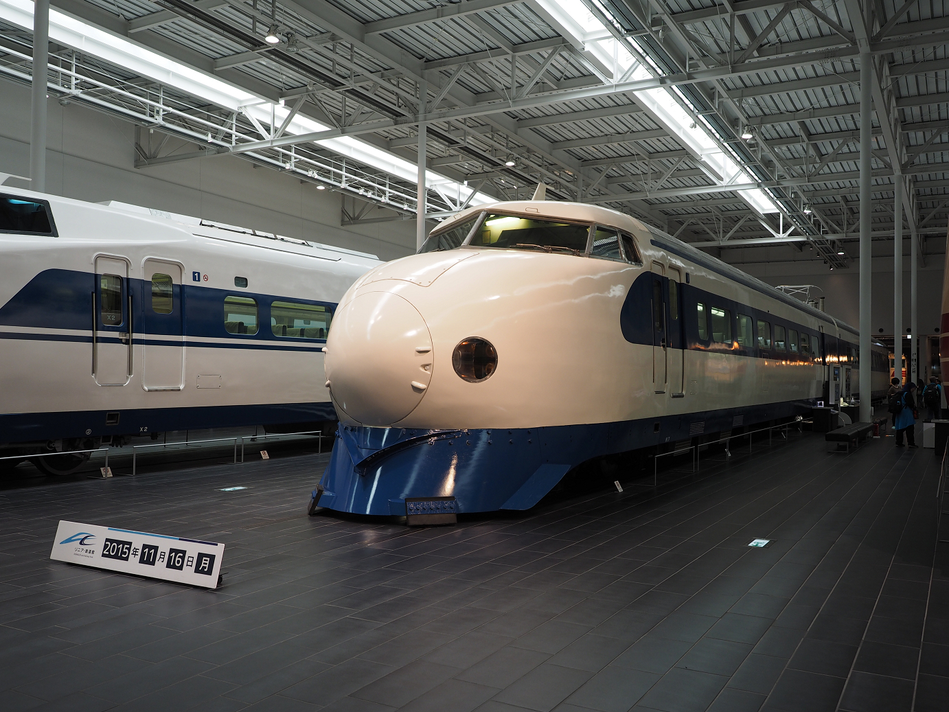 PB162316.jpg