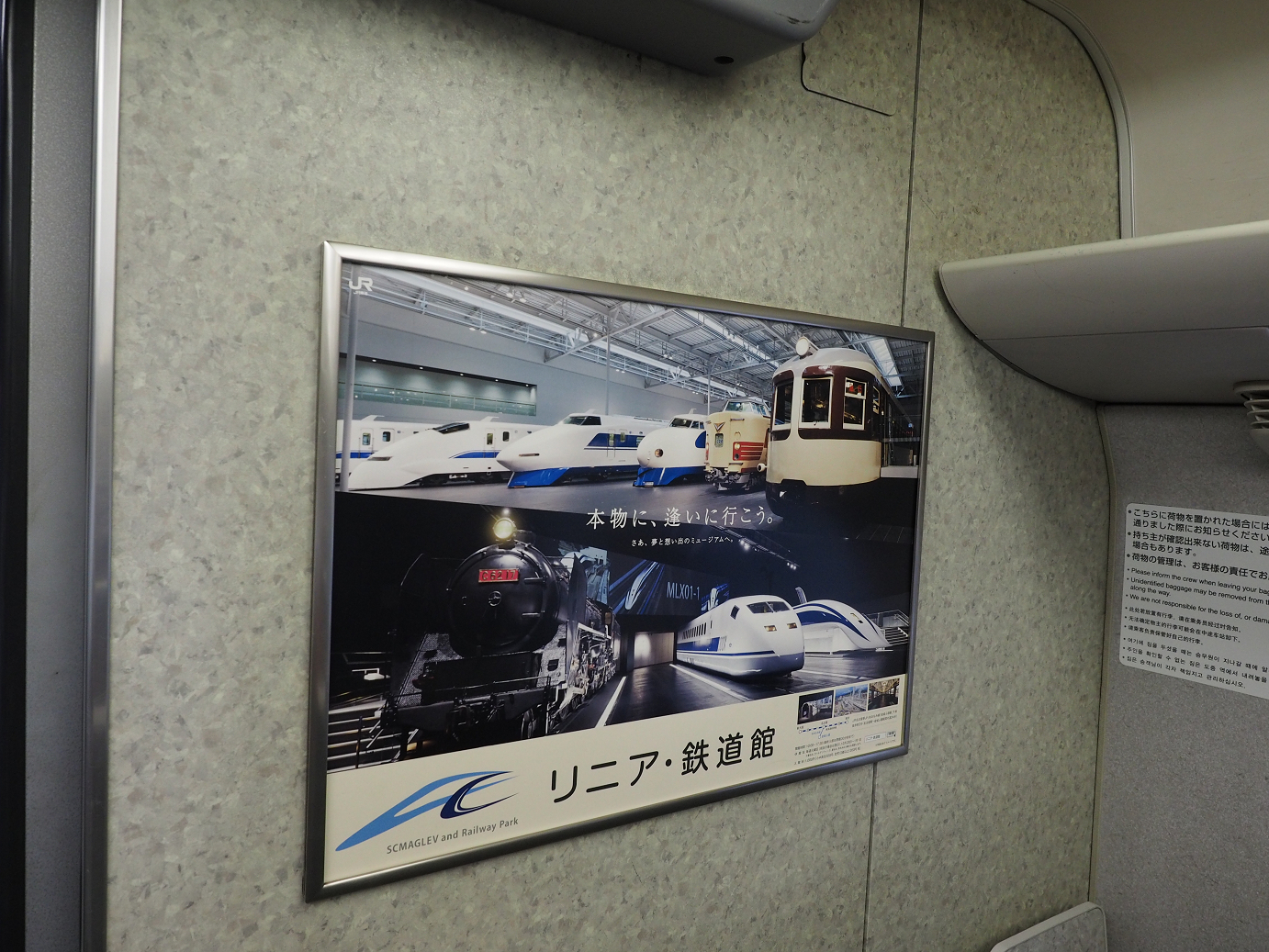 PB162481.jpg