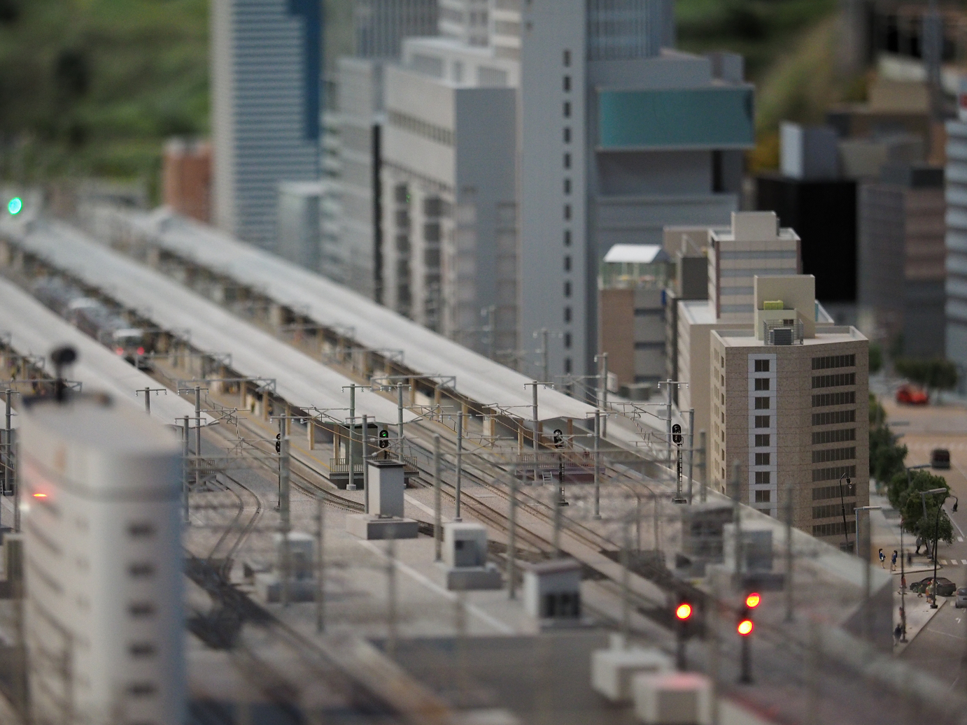 PB162717.jpg