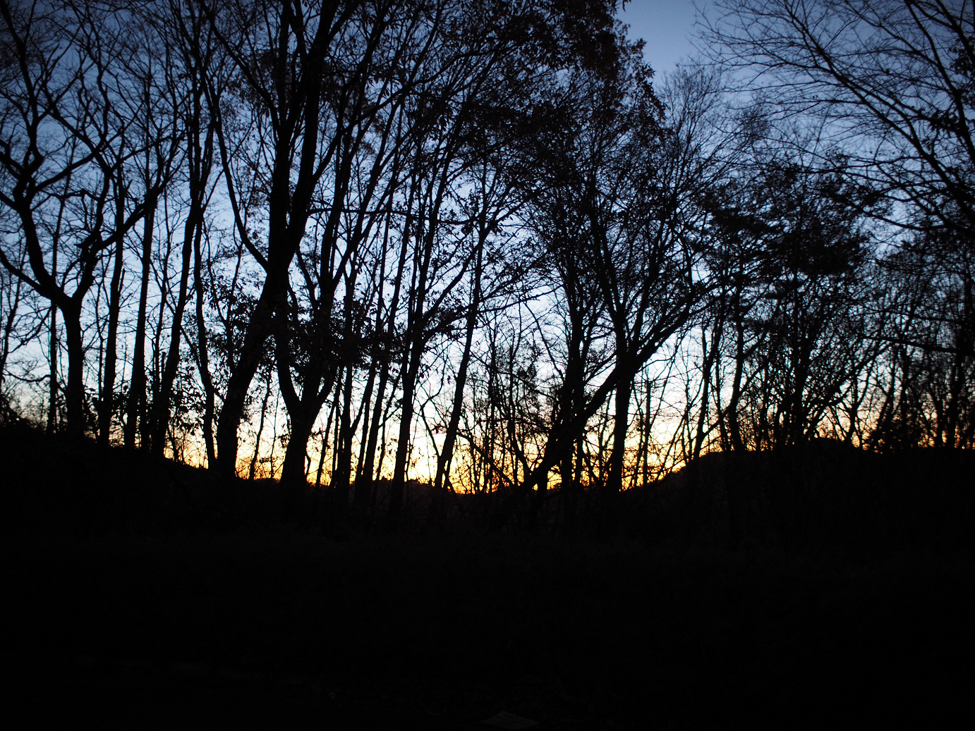 PC050057.jpg