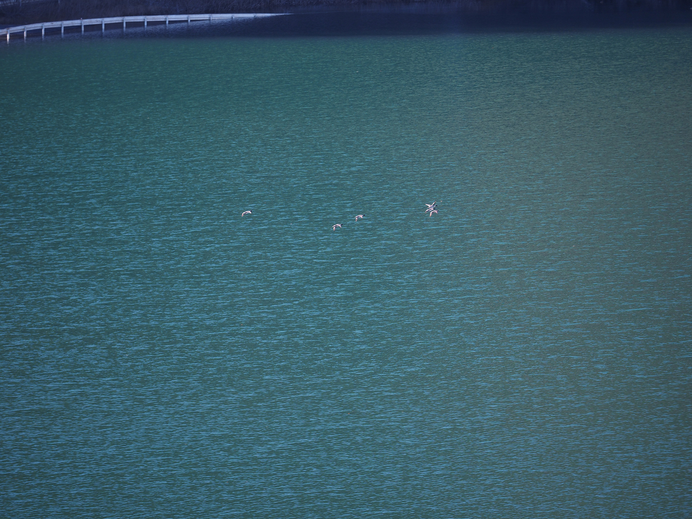 PC050116.jpg