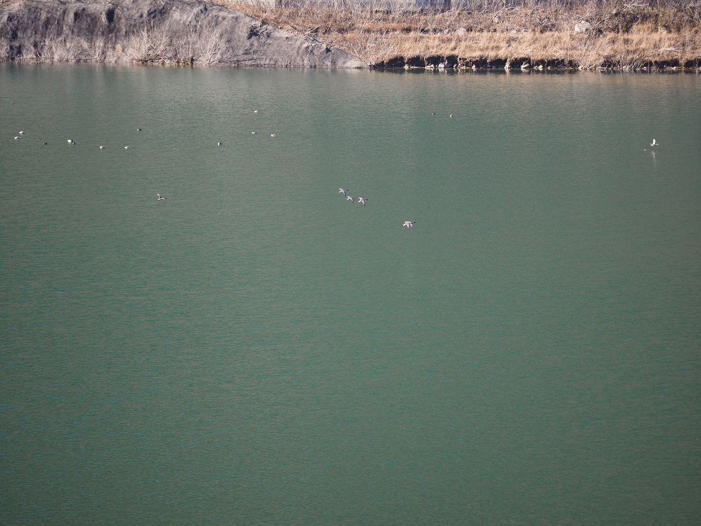 PC050117.jpg