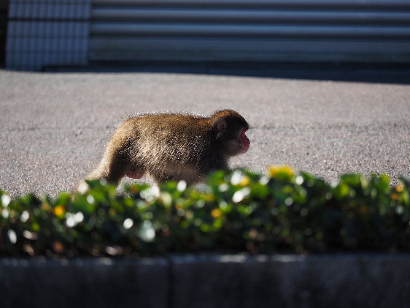 PC050147.jpg