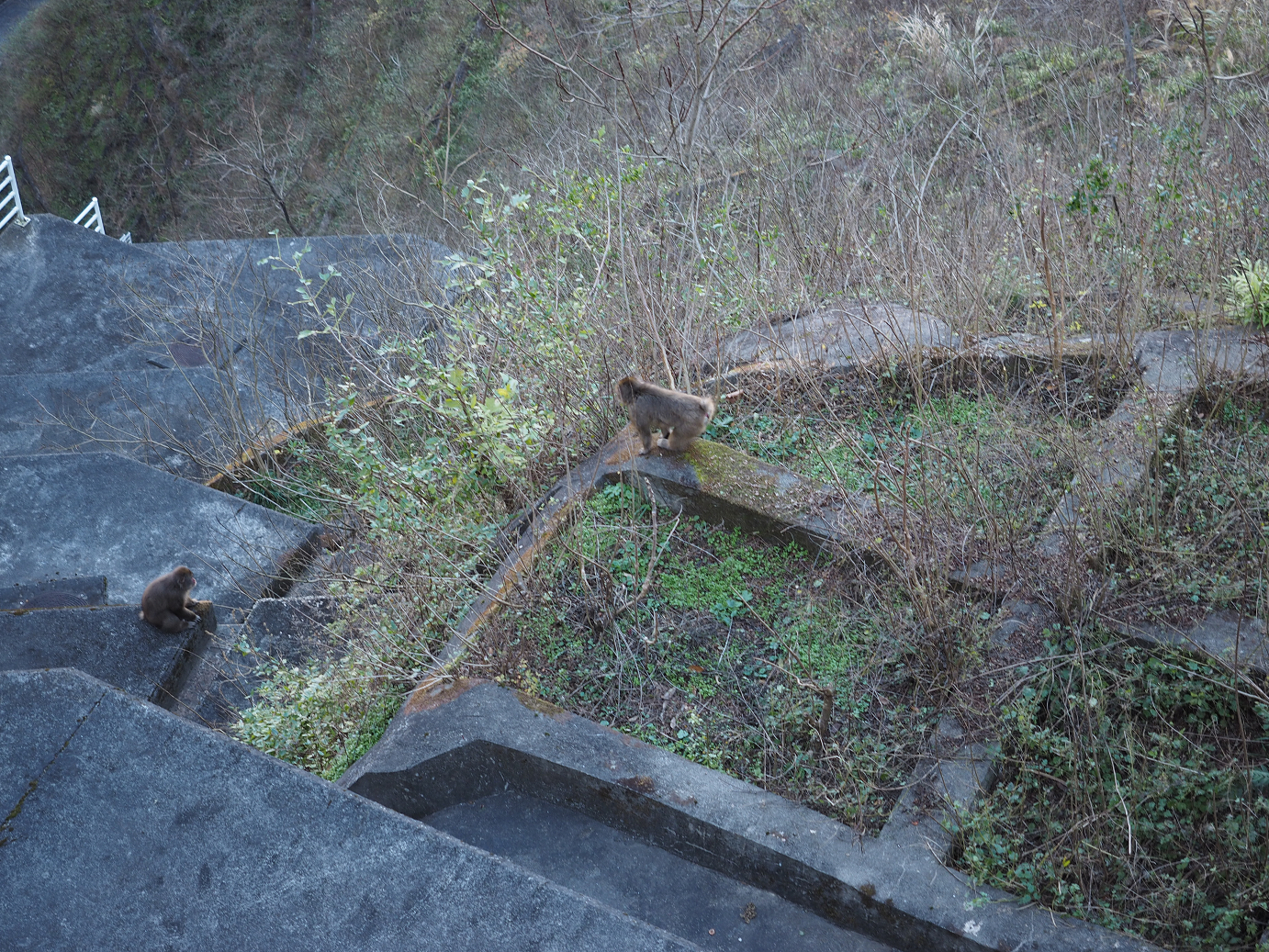 PC050166.jpg