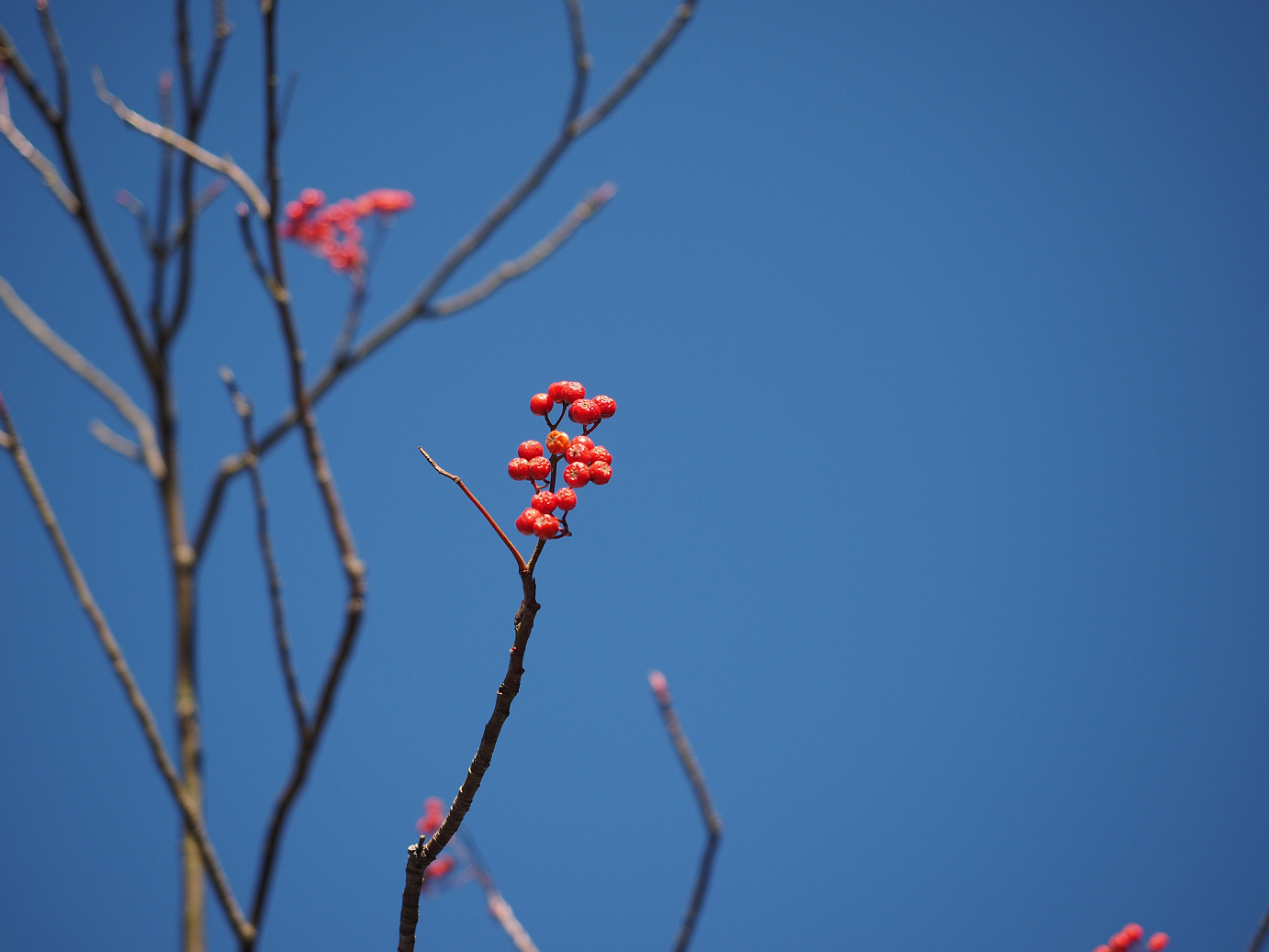 PC050213.jpg