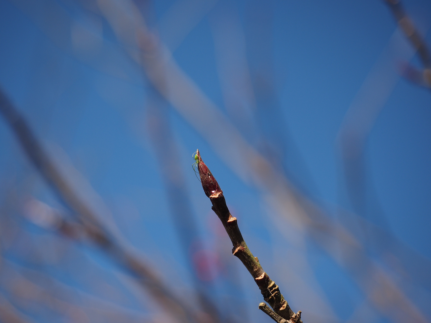 PC050214.jpg