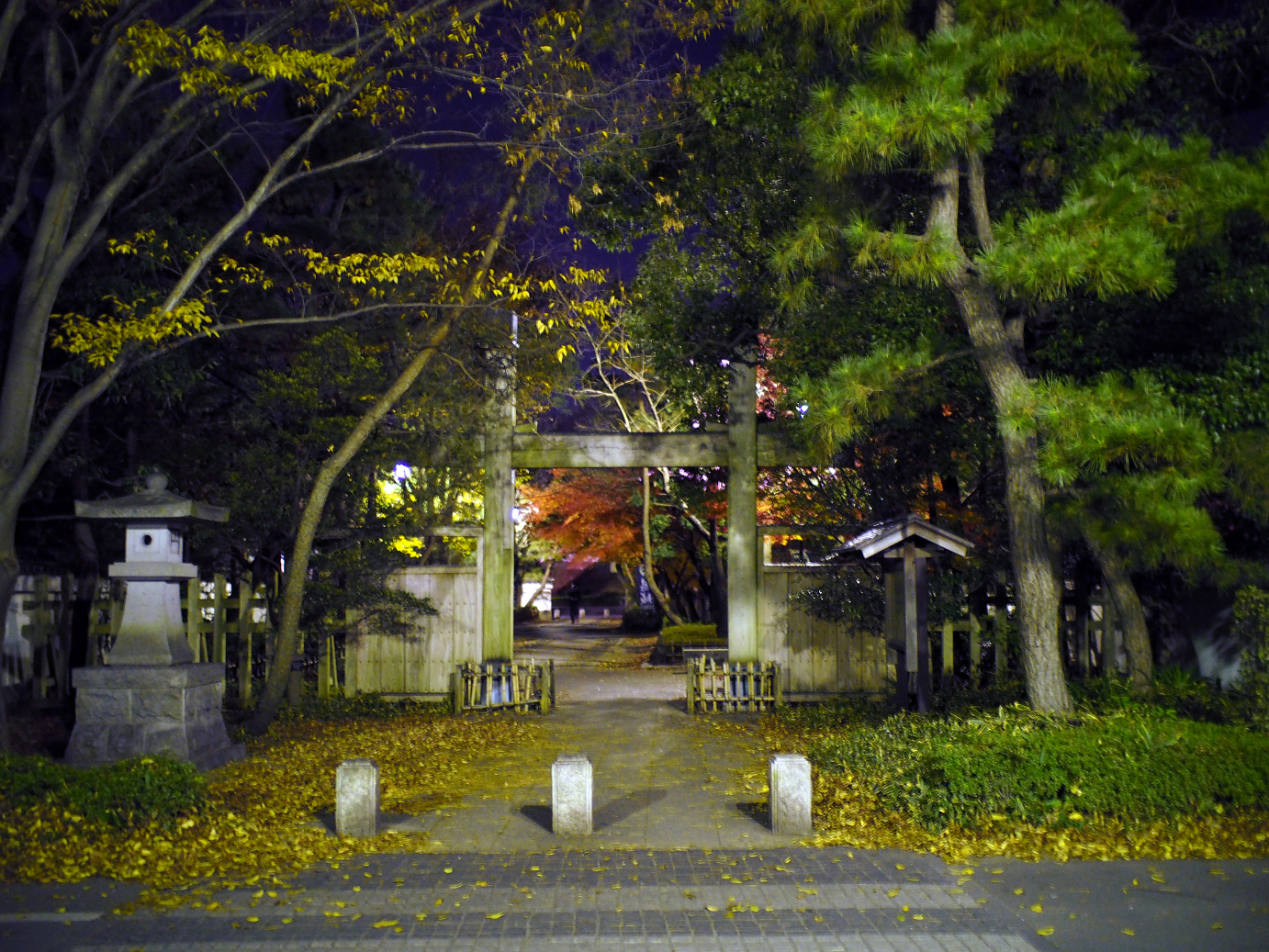 PC050699.jpg