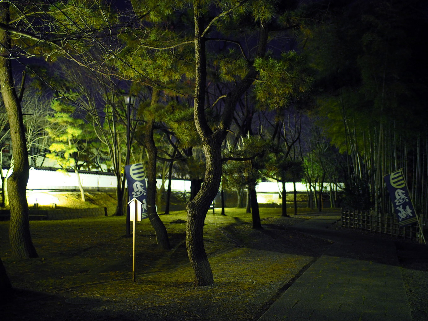PC050744.jpg