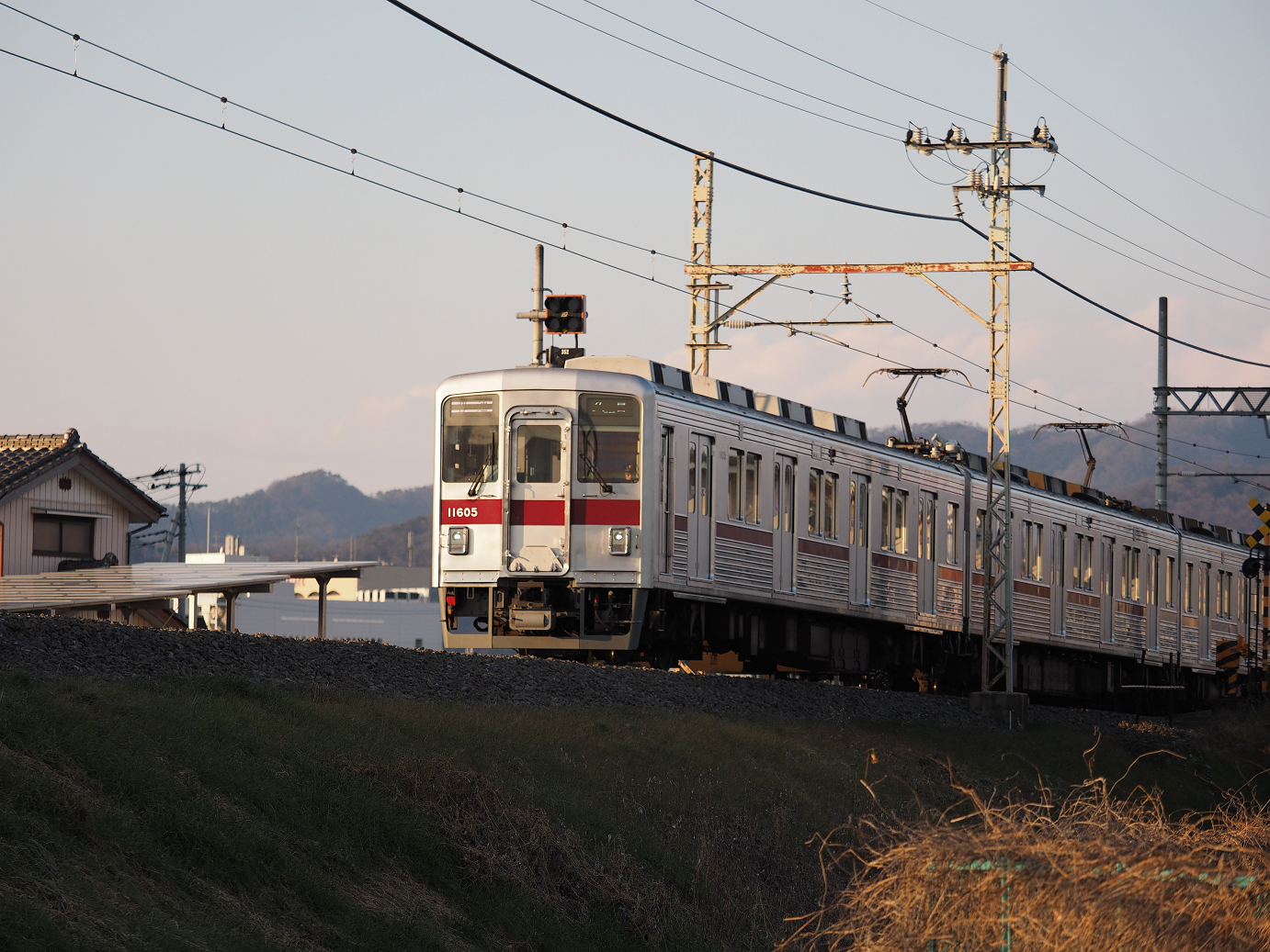 P1016003.jpg