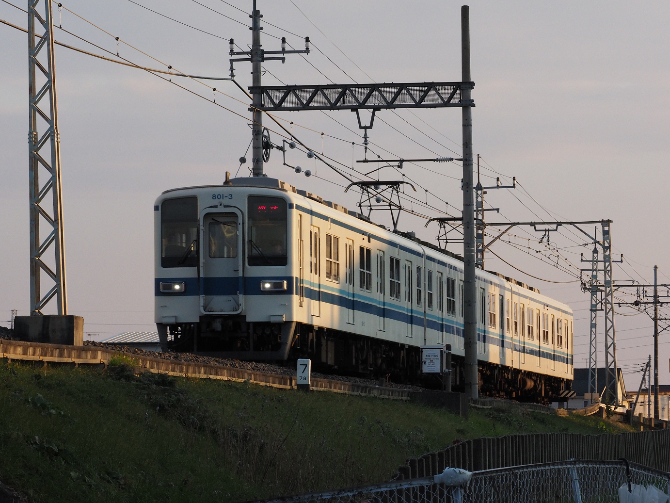P1016005.jpg