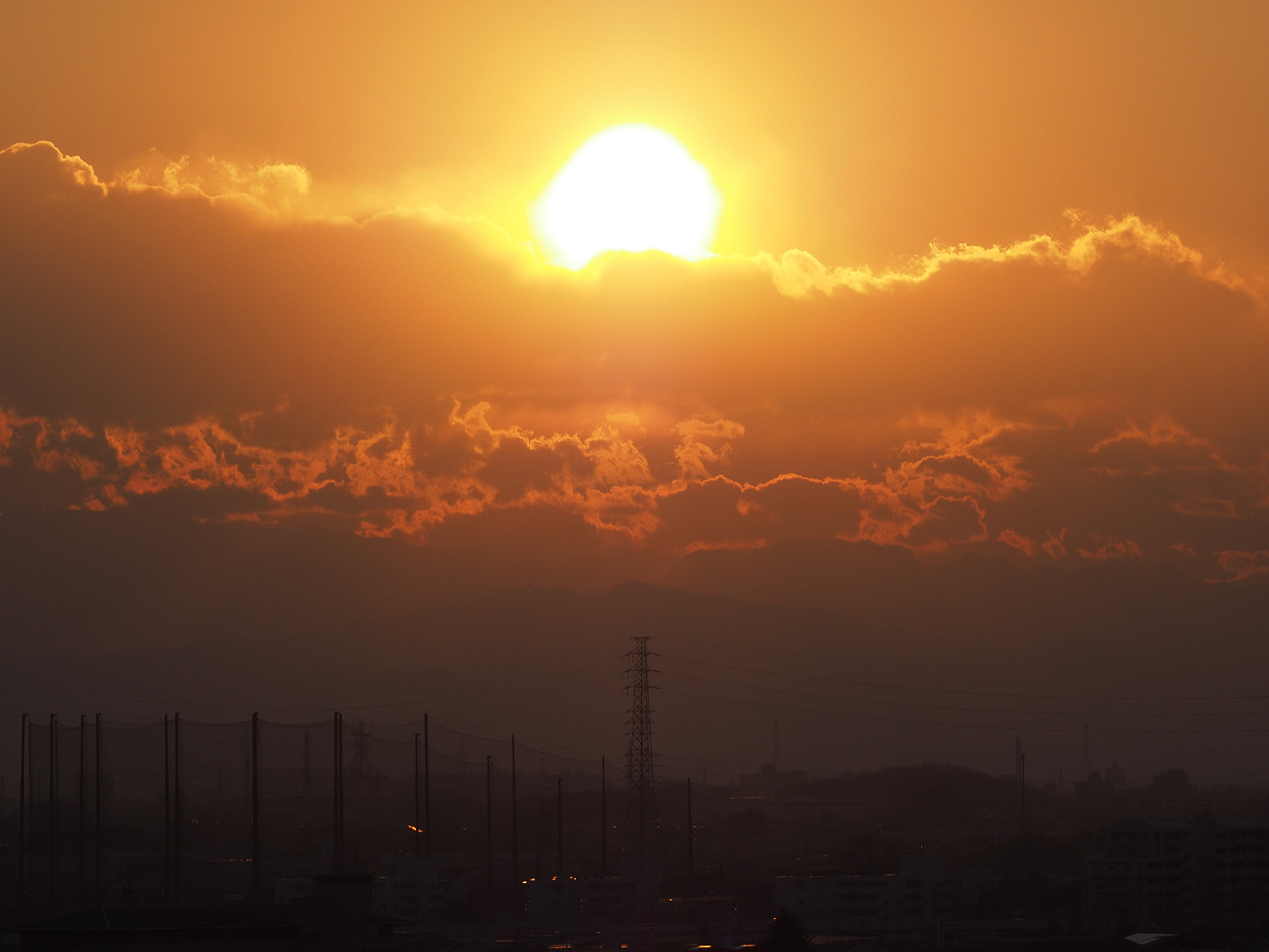 P1016017.jpg