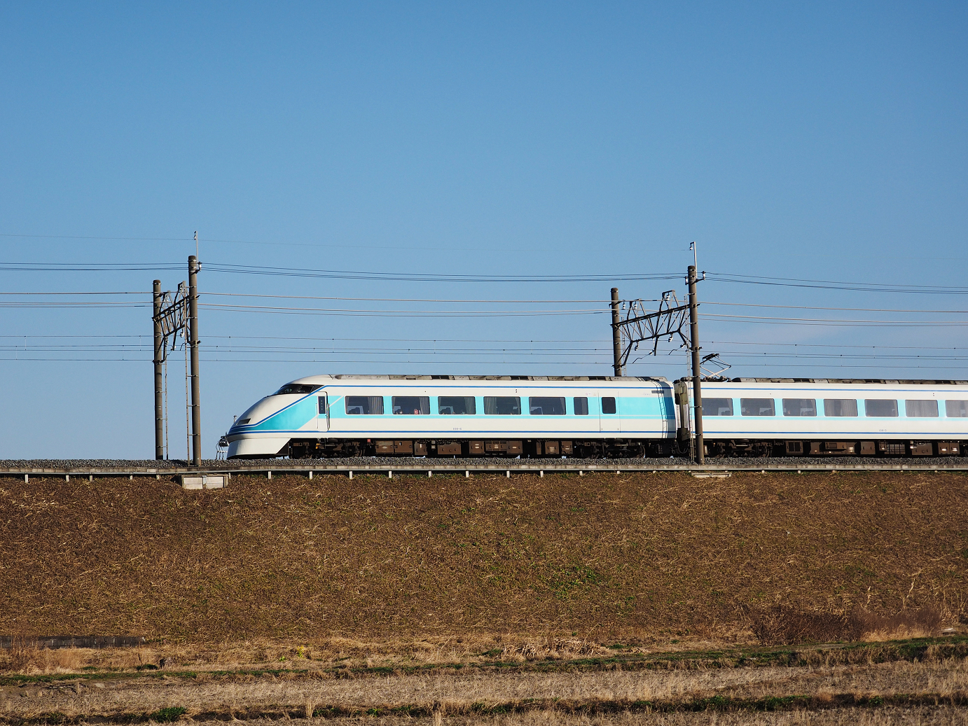 P1020001.jpg