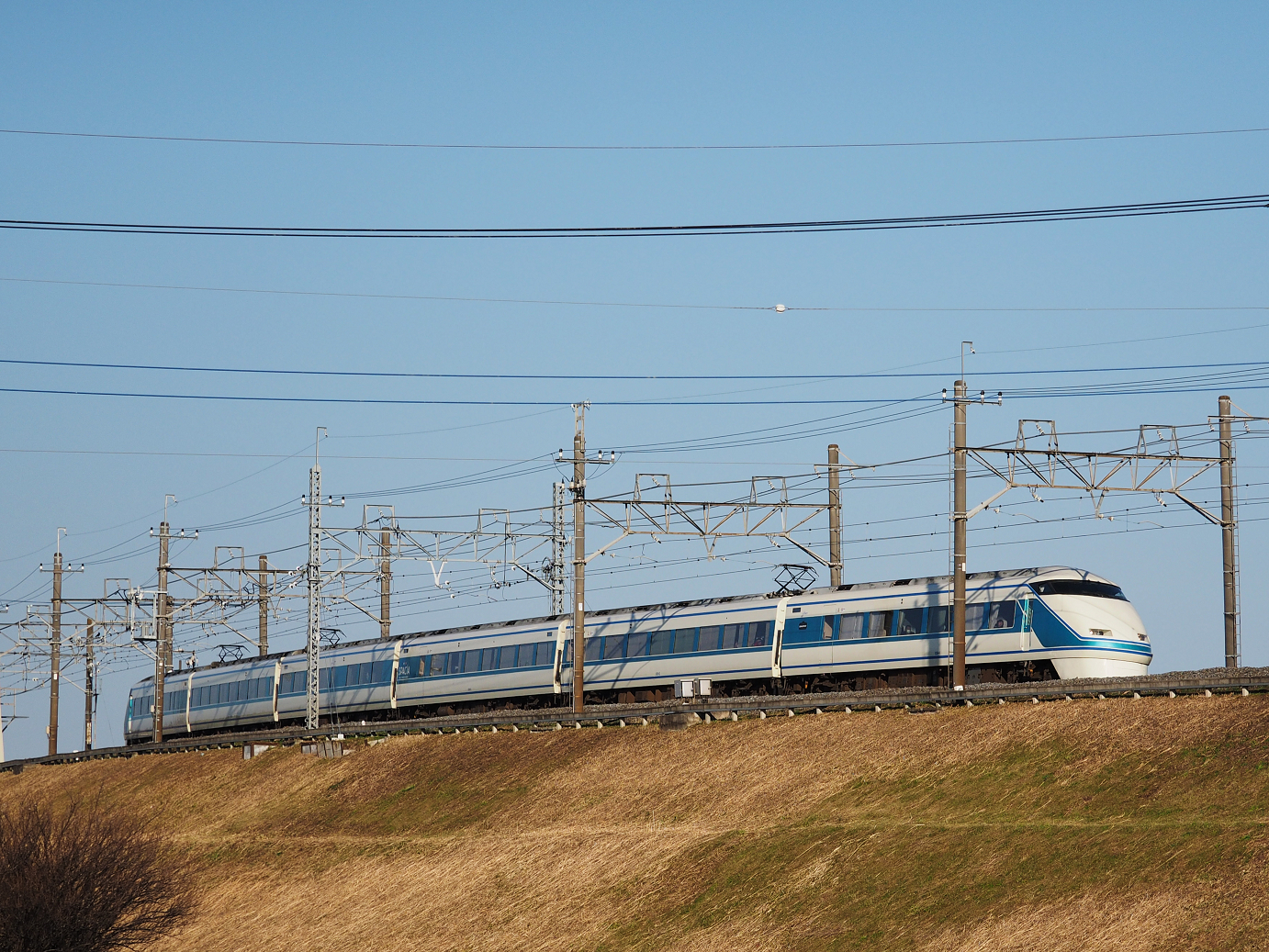 P1020014.jpg