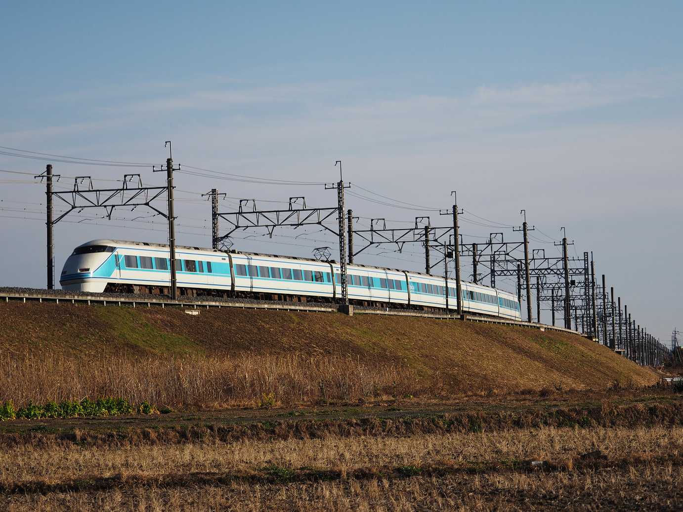 P1020023.jpg