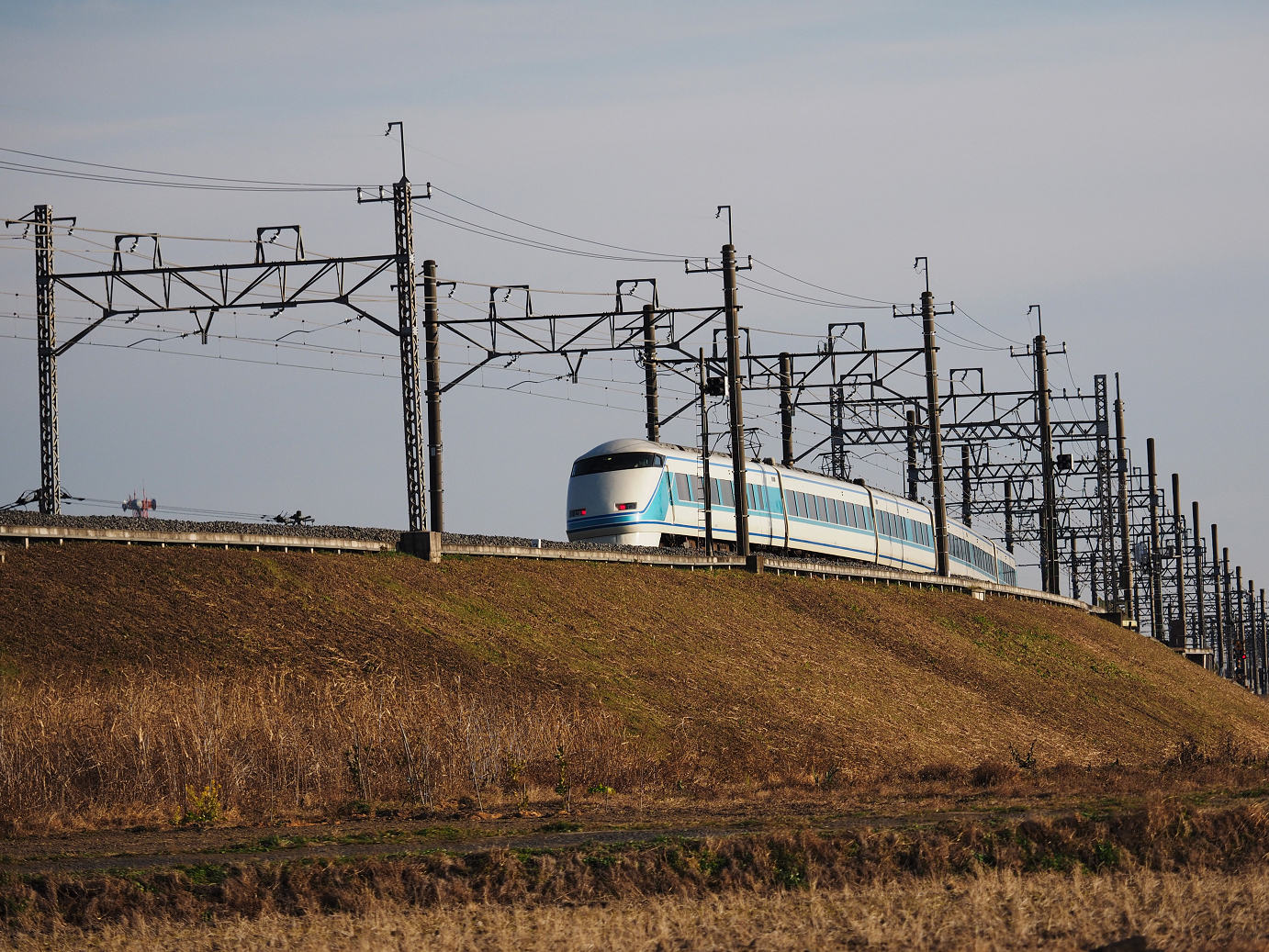 P1020028.jpg