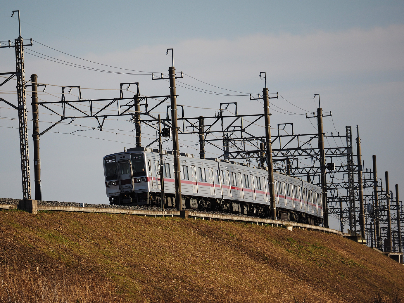 P1020124.jpg
