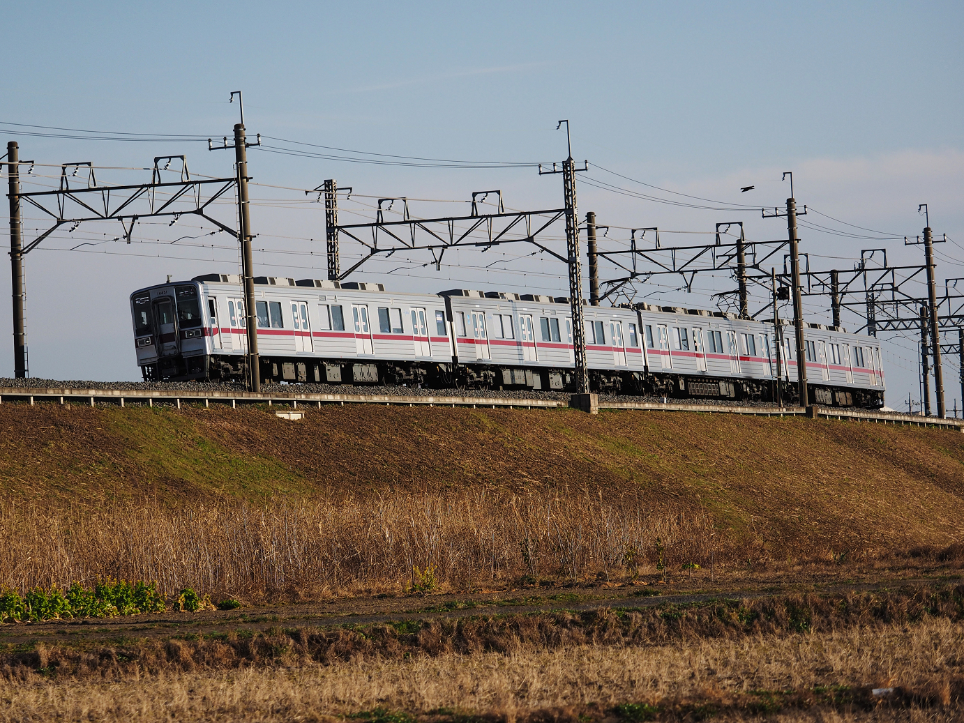 P1020131.jpg